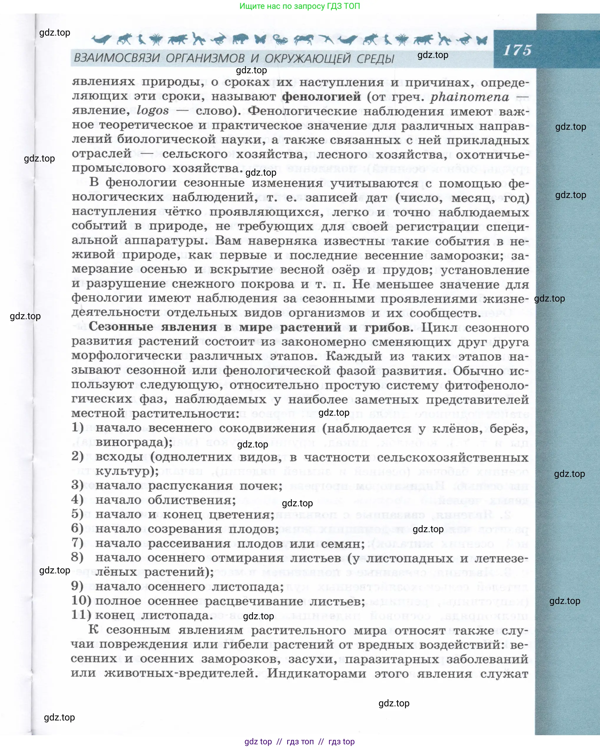 Биология, 9 класс Учебник, автор: Пасечник Владимир Васильевич, издательство Просвещение, Москва, 2019, страница 175