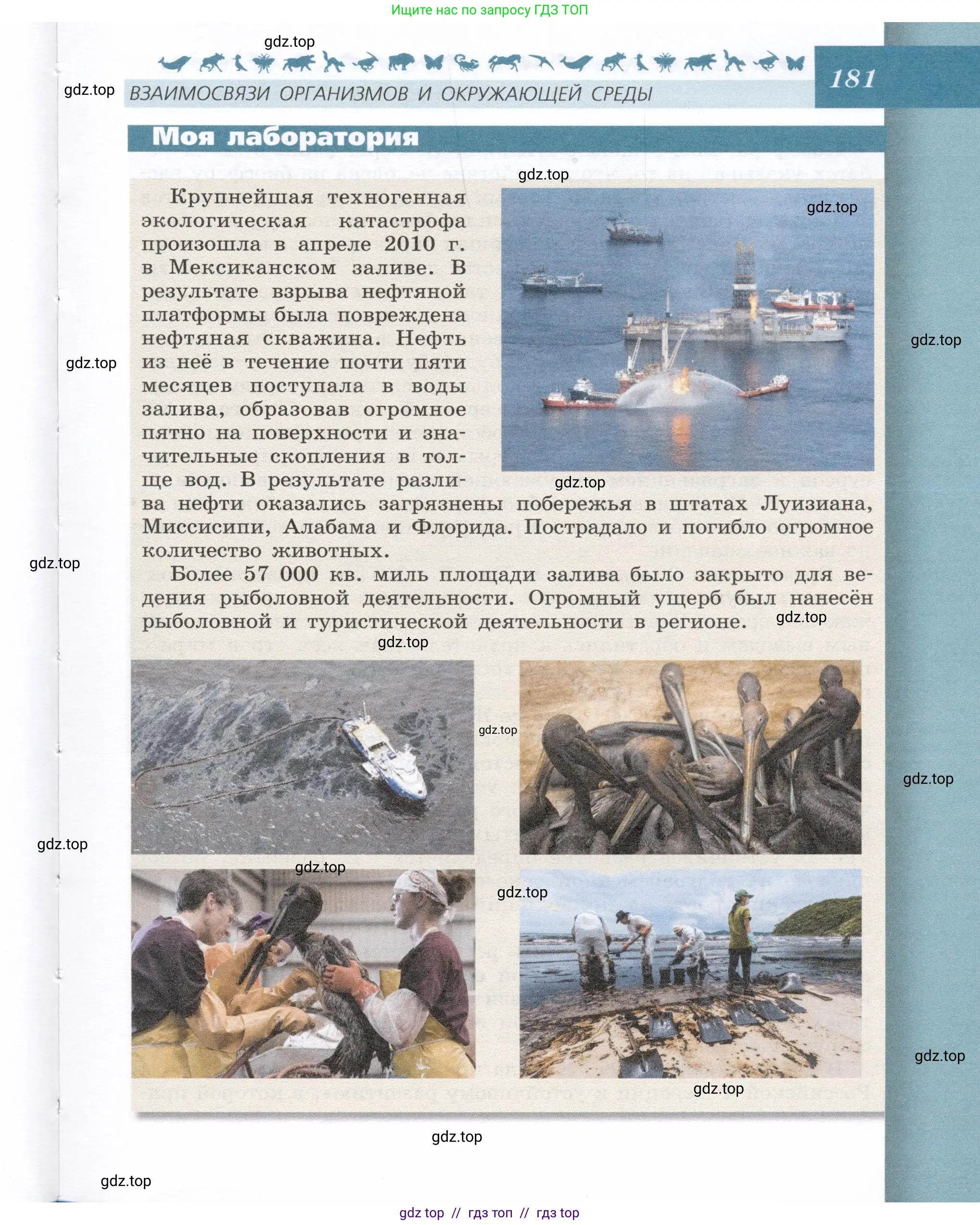 Биология, 9 класс Учебник, автор: Пасечник Владимир Васильевич, издательство Просвещение, Москва, 2019, страница 181