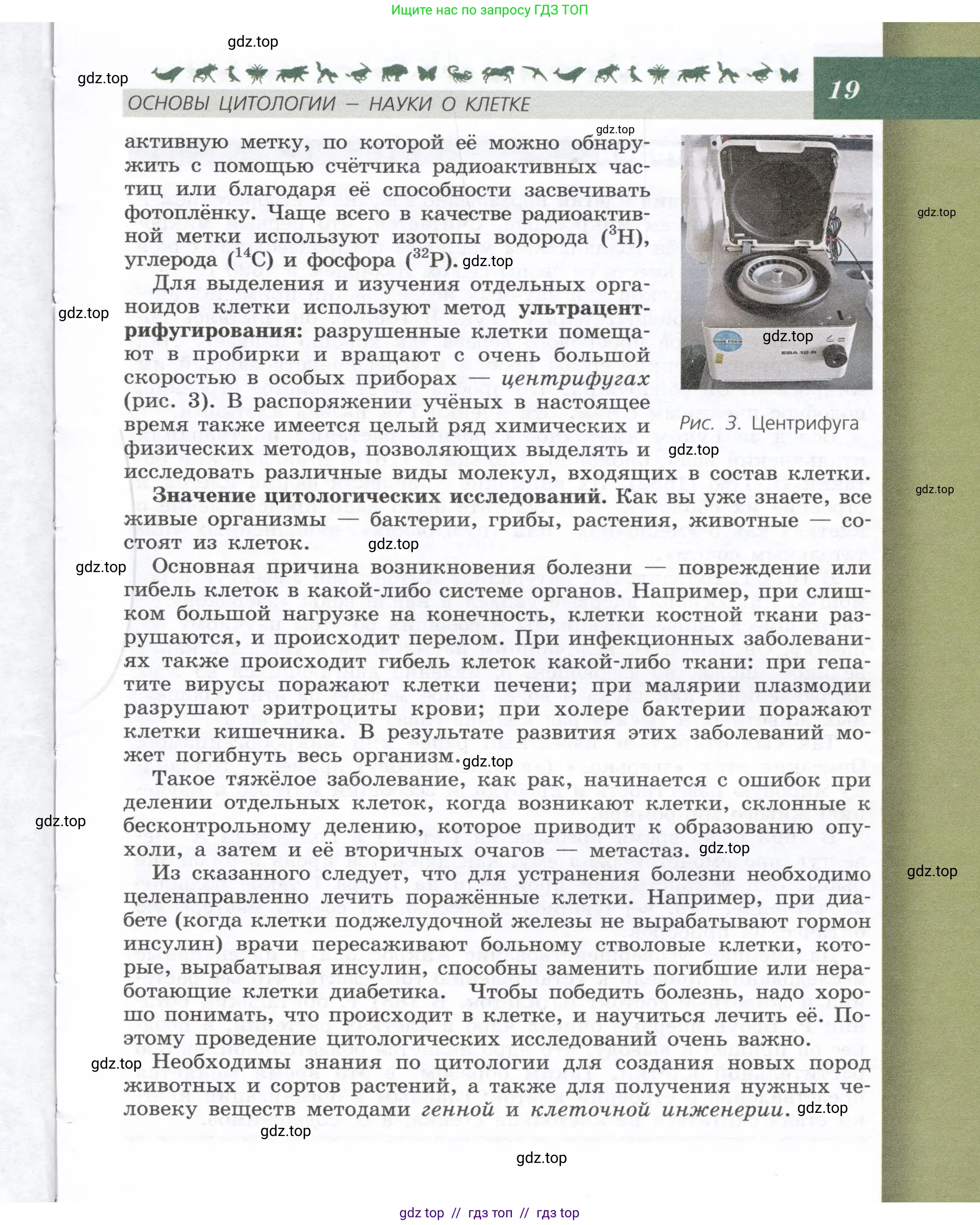 Биология, 9 класс Учебник, автор: Пасечник Владимир Васильевич, издательство Просвещение, Москва, 2019, страница 19