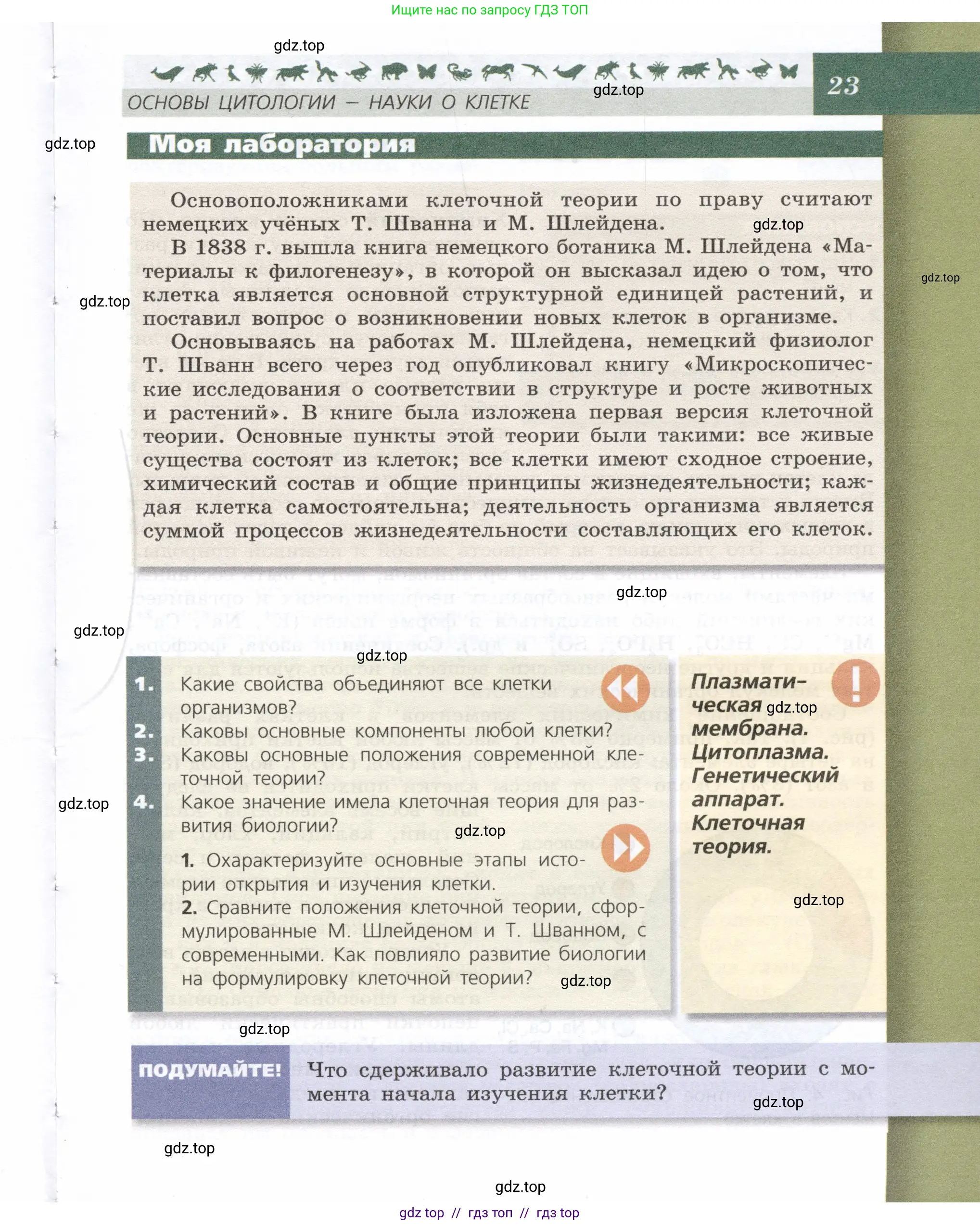 Биология, 9 класс Учебник, автор: Пасечник Владимир Васильевич, издательство Просвещение, Москва, 2019, страница 23