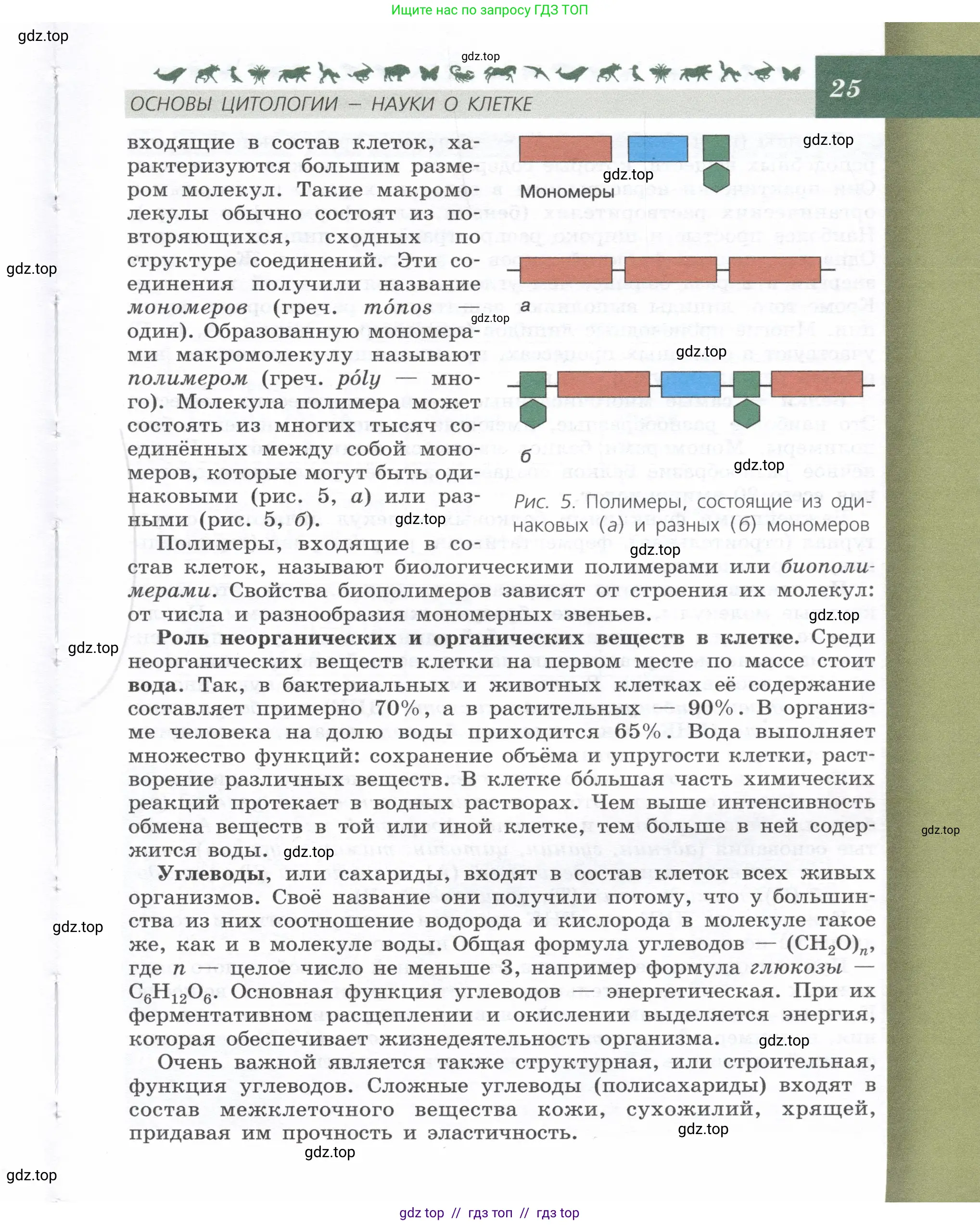 Биология, 9 класс Учебник, автор: Пасечник Владимир Васильевич, издательство Просвещение, Москва, 2019, страница 25