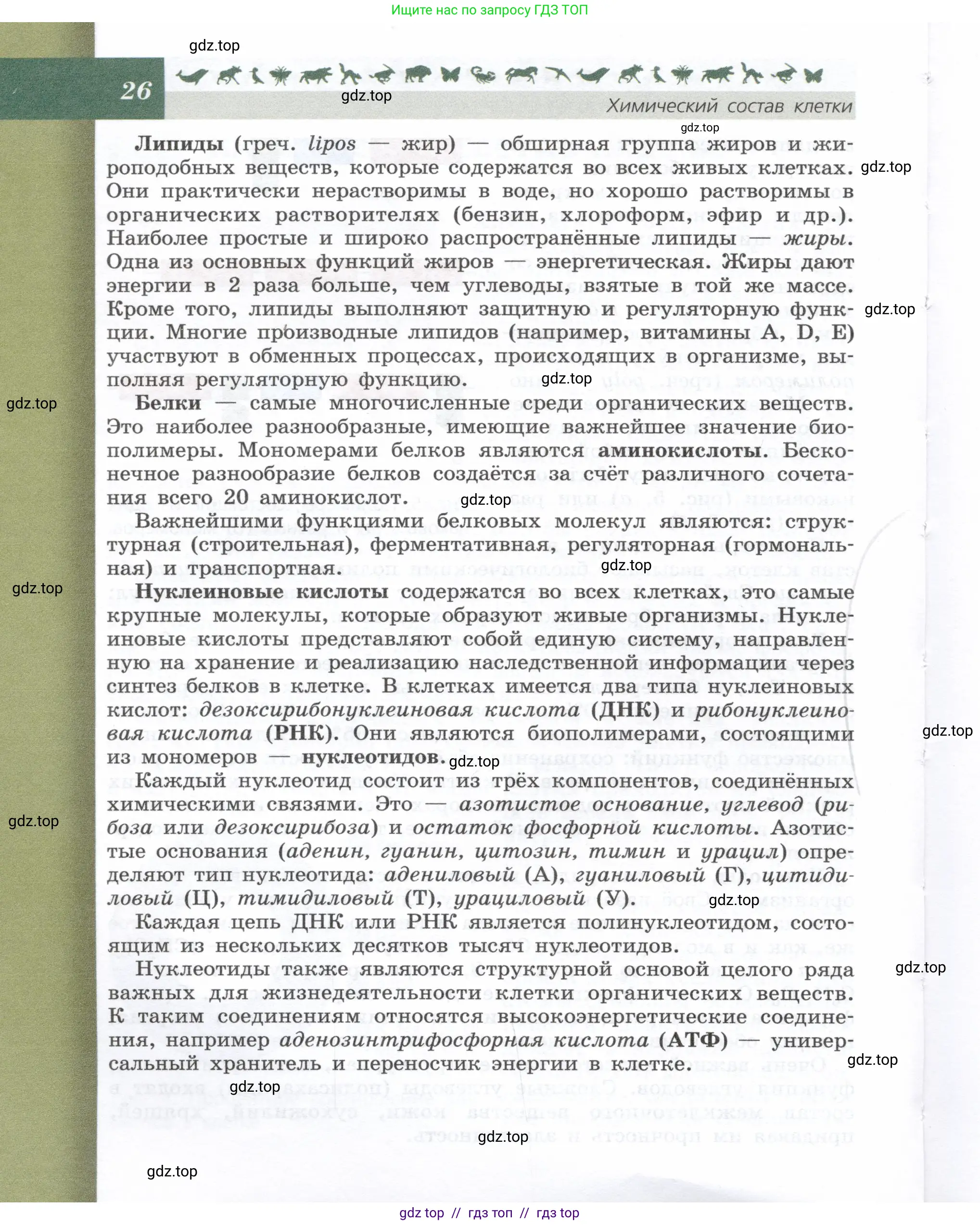 Биология, 9 класс Учебник, автор: Пасечник Владимир Васильевич, издательство Просвещение, Москва, 2019, страница 26