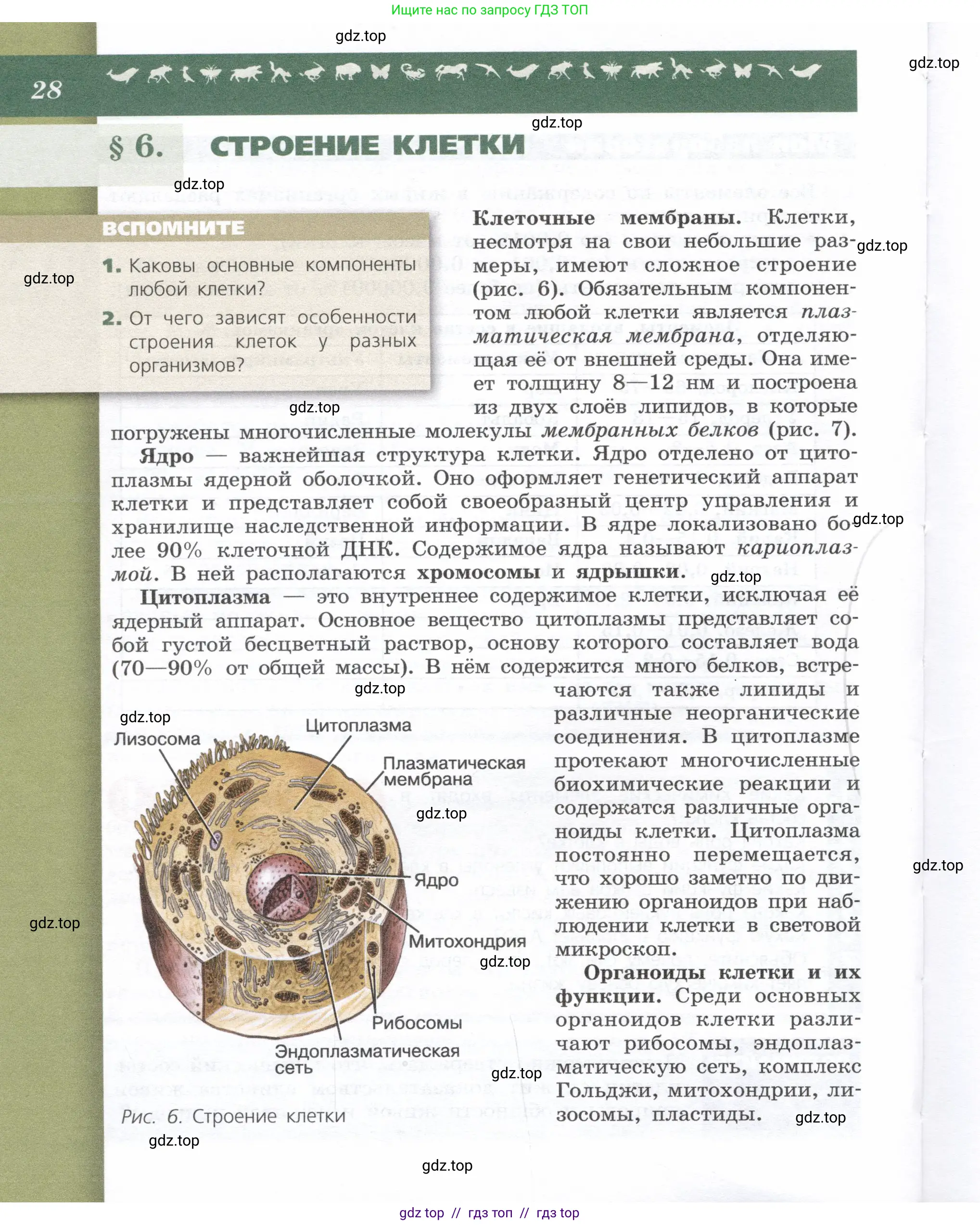 Биология, 9 класс Учебник, автор: Пасечник Владимир Васильевич, издательство Просвещение, Москва, 2019, страница 28