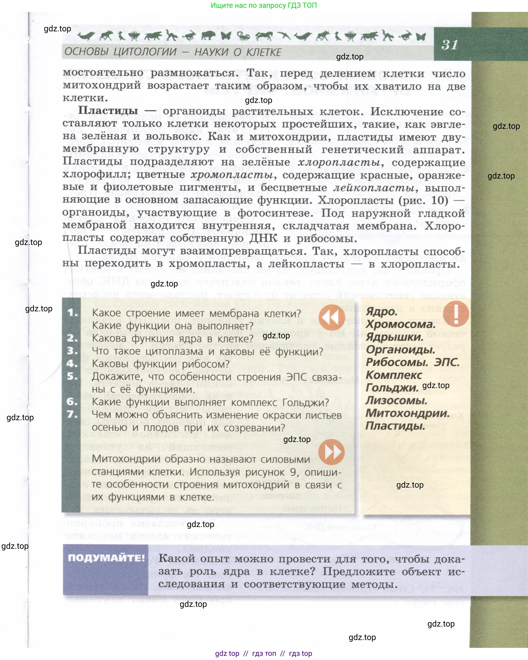 Биология, 9 класс Учебник, автор: Пасечник Владимир Васильевич, издательство Просвещение, Москва, 2019, страница 31