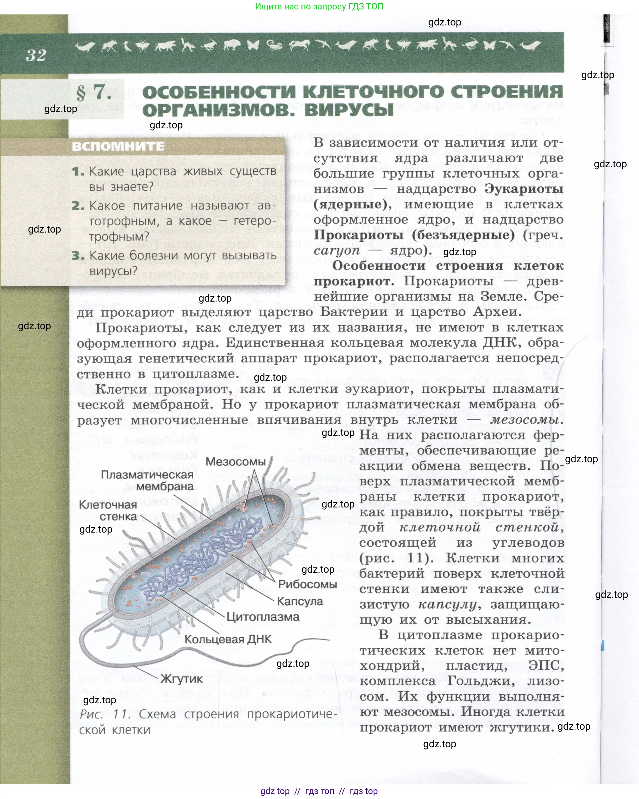 Биология, 9 класс Учебник, автор: Пасечник Владимир Васильевич, издательство Просвещение, Москва, 2019, страница 32
