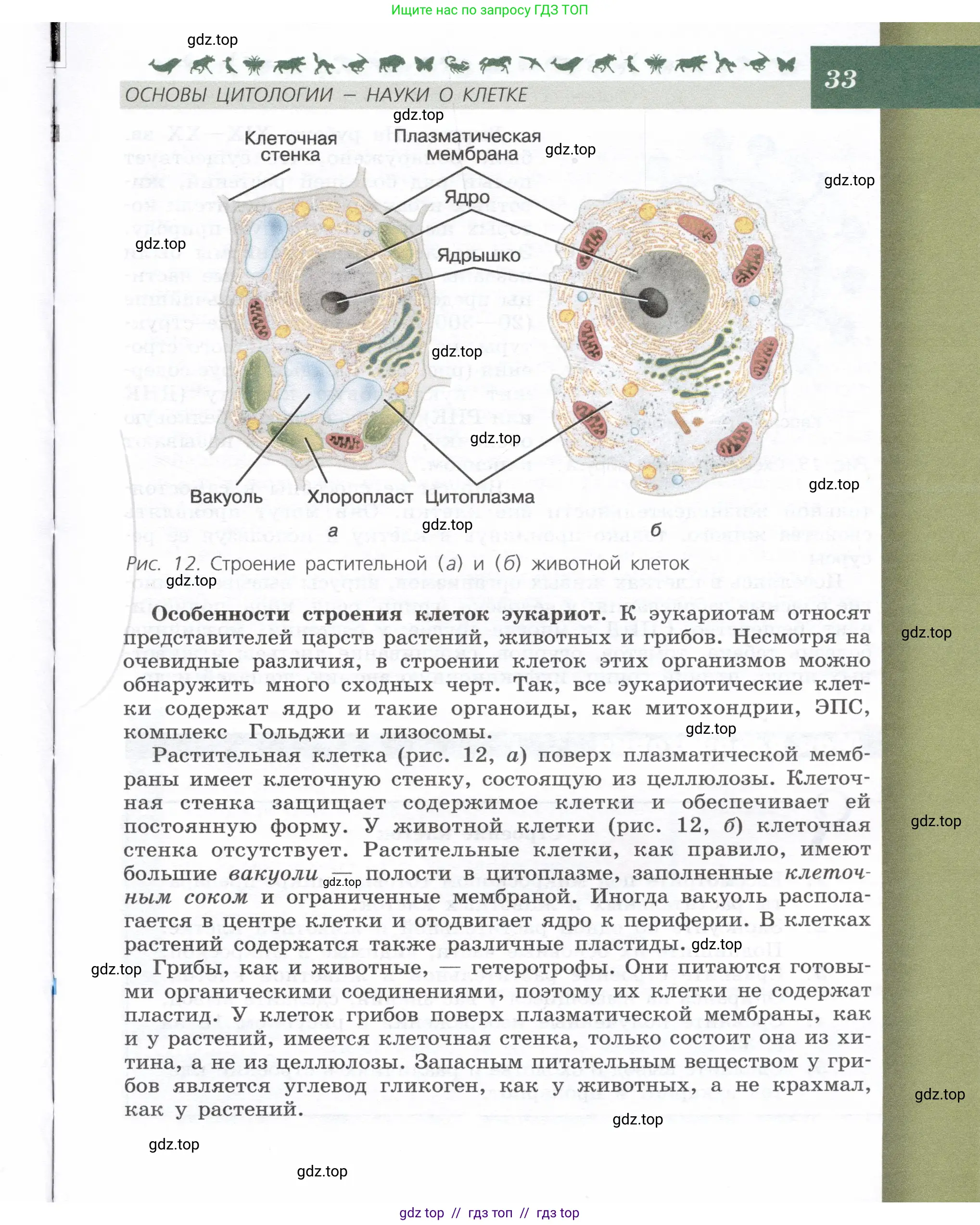 Биология, 9 класс Учебник, автор: Пасечник Владимир Васильевич, издательство Просвещение, Москва, 2019, страница 33