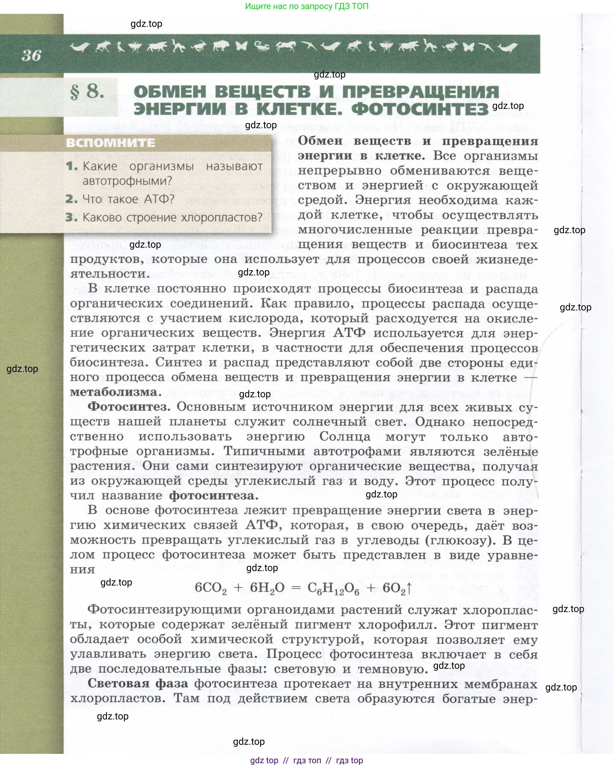 Биология, 9 класс Учебник, автор: Пасечник Владимир Васильевич, издательство Просвещение, Москва, 2019, страница 36