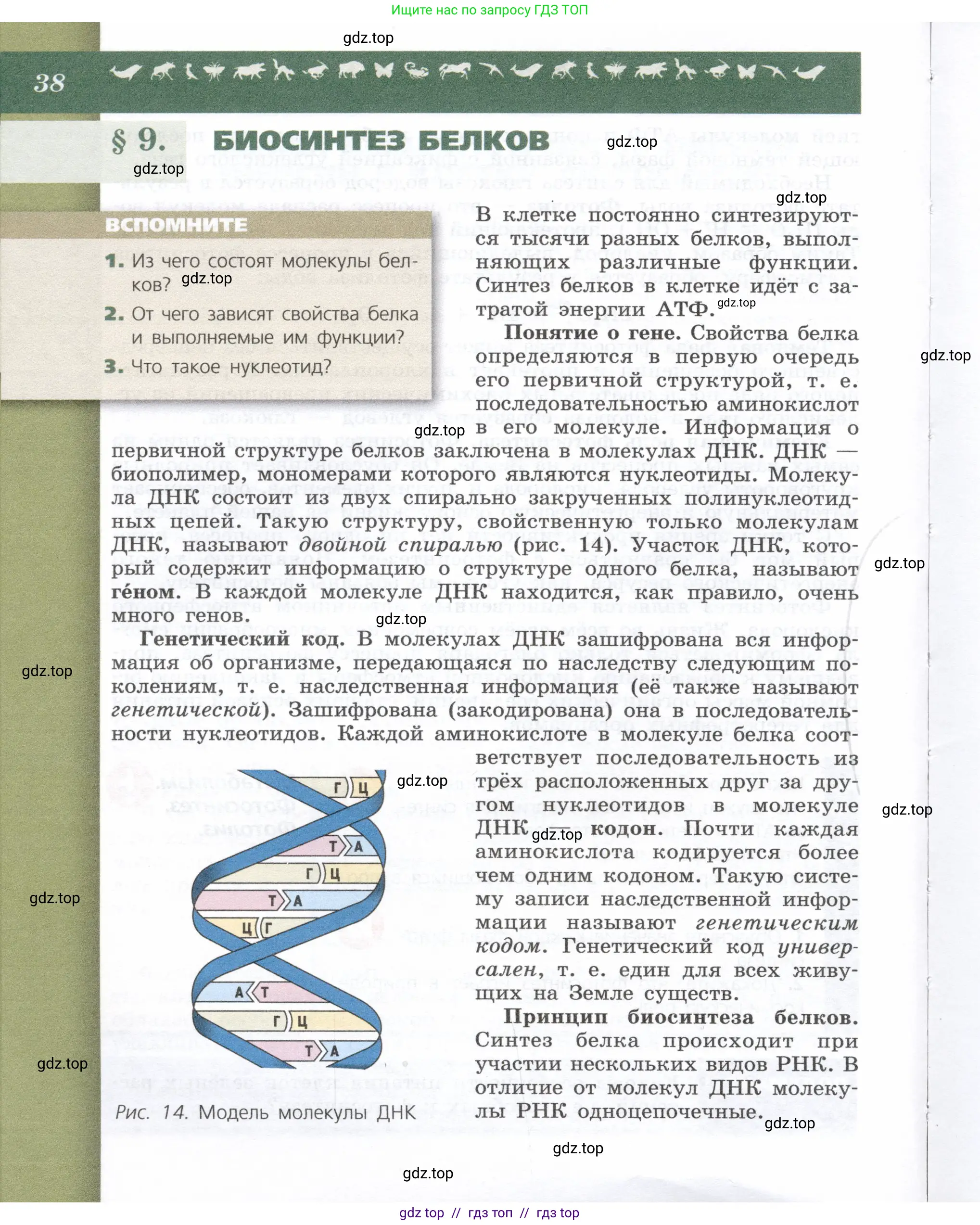 Биология, 9 класс Учебник, автор: Пасечник Владимир Васильевич, издательство Просвещение, Москва, 2019, страница 38