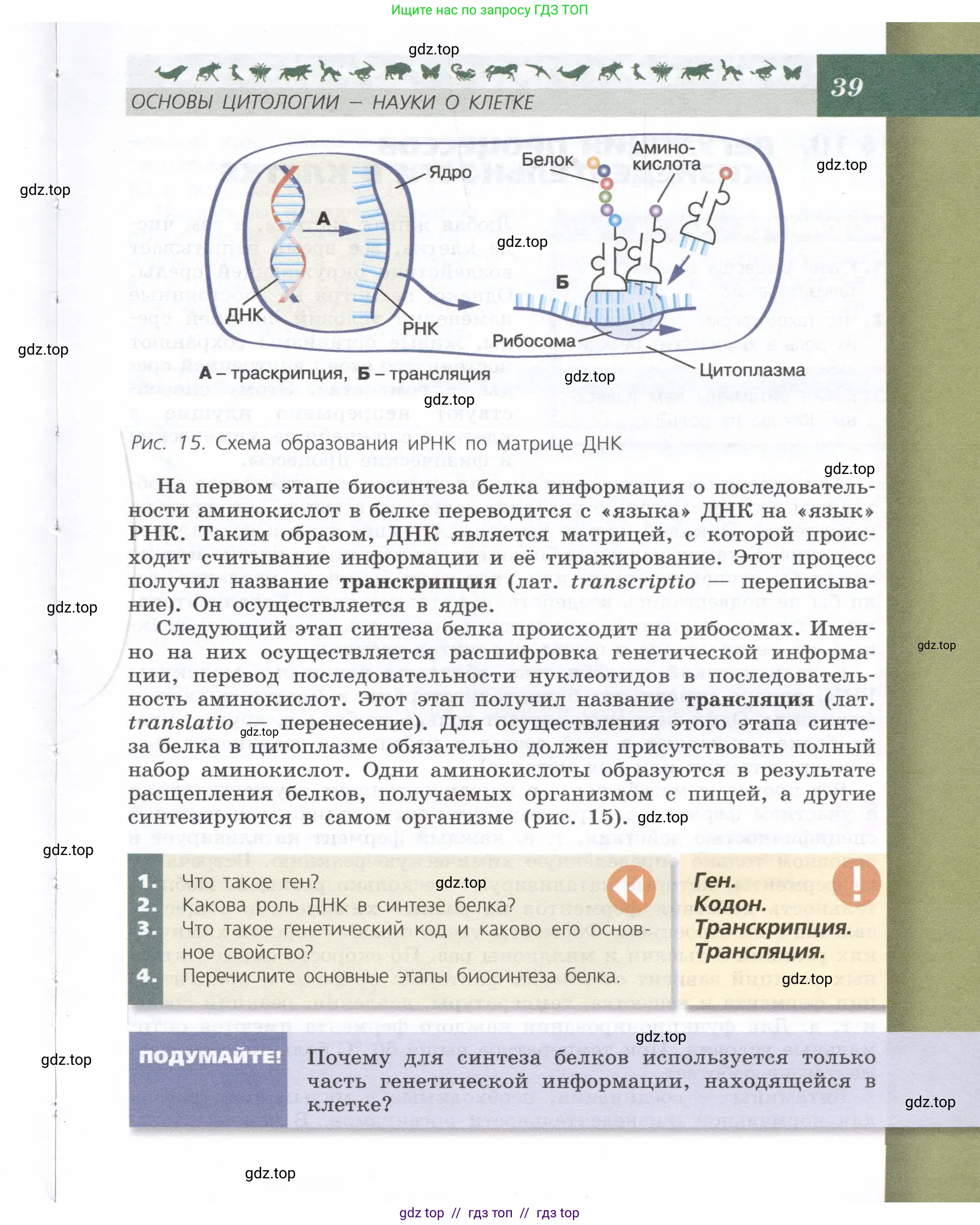 Биология, 9 класс Учебник, автор: Пасечник Владимир Васильевич, издательство Просвещение, Москва, 2019, страница 39