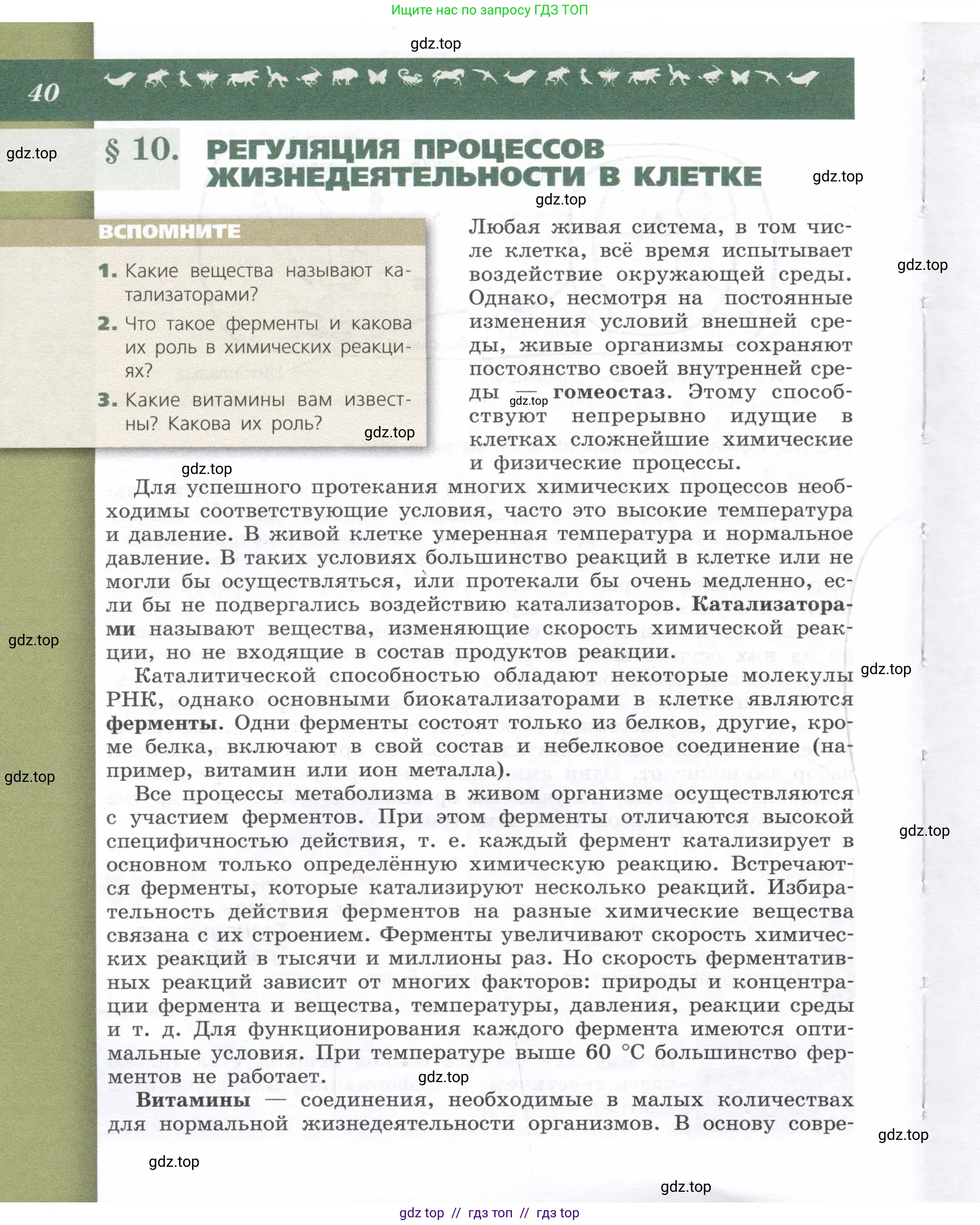Биология, 9 класс Учебник, автор: Пасечник Владимир Васильевич, издательство Просвещение, Москва, 2019, страница 40