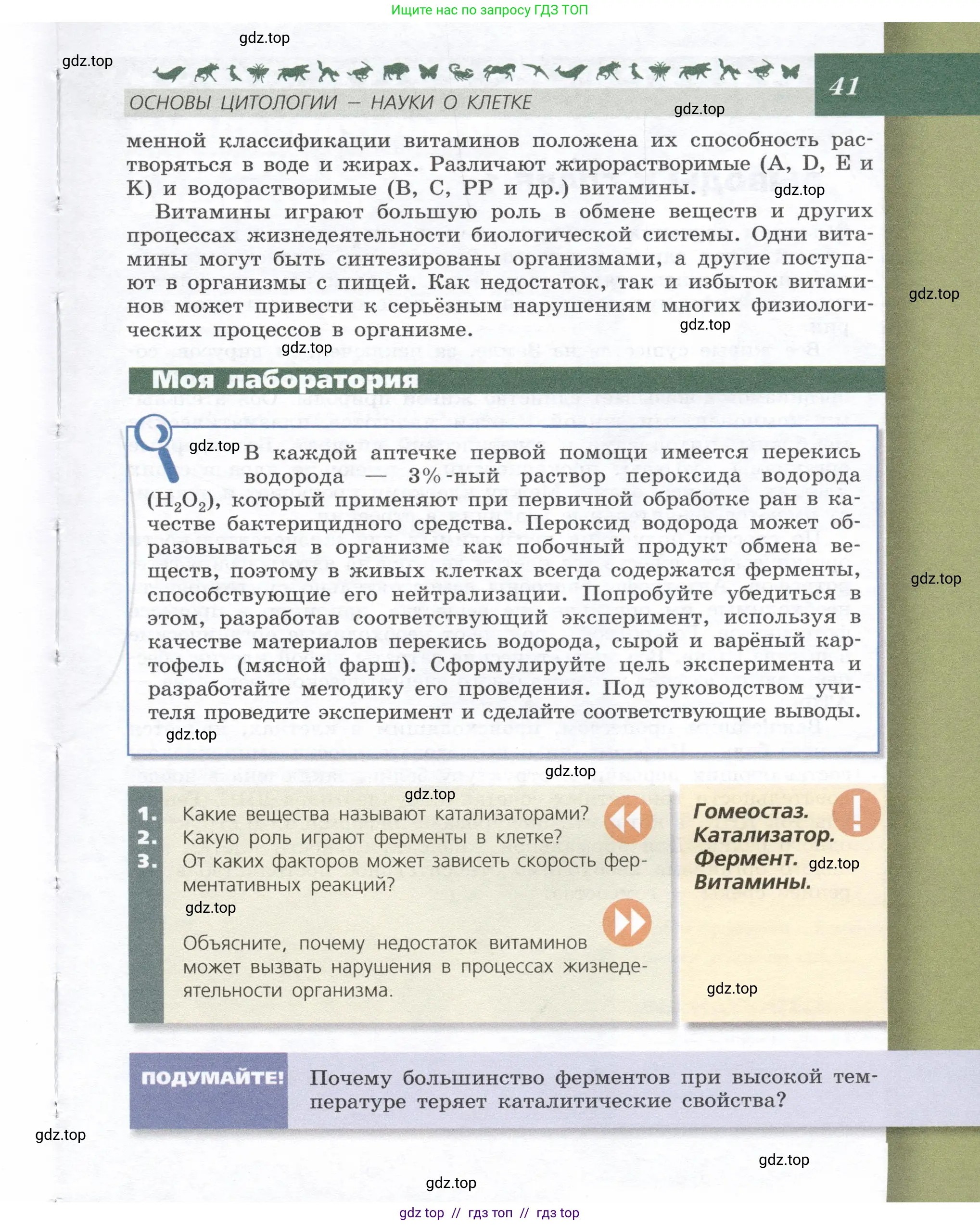 Биология, 9 класс Учебник, автор: Пасечник Владимир Васильевич, издательство Просвещение, Москва, 2019, страница 41