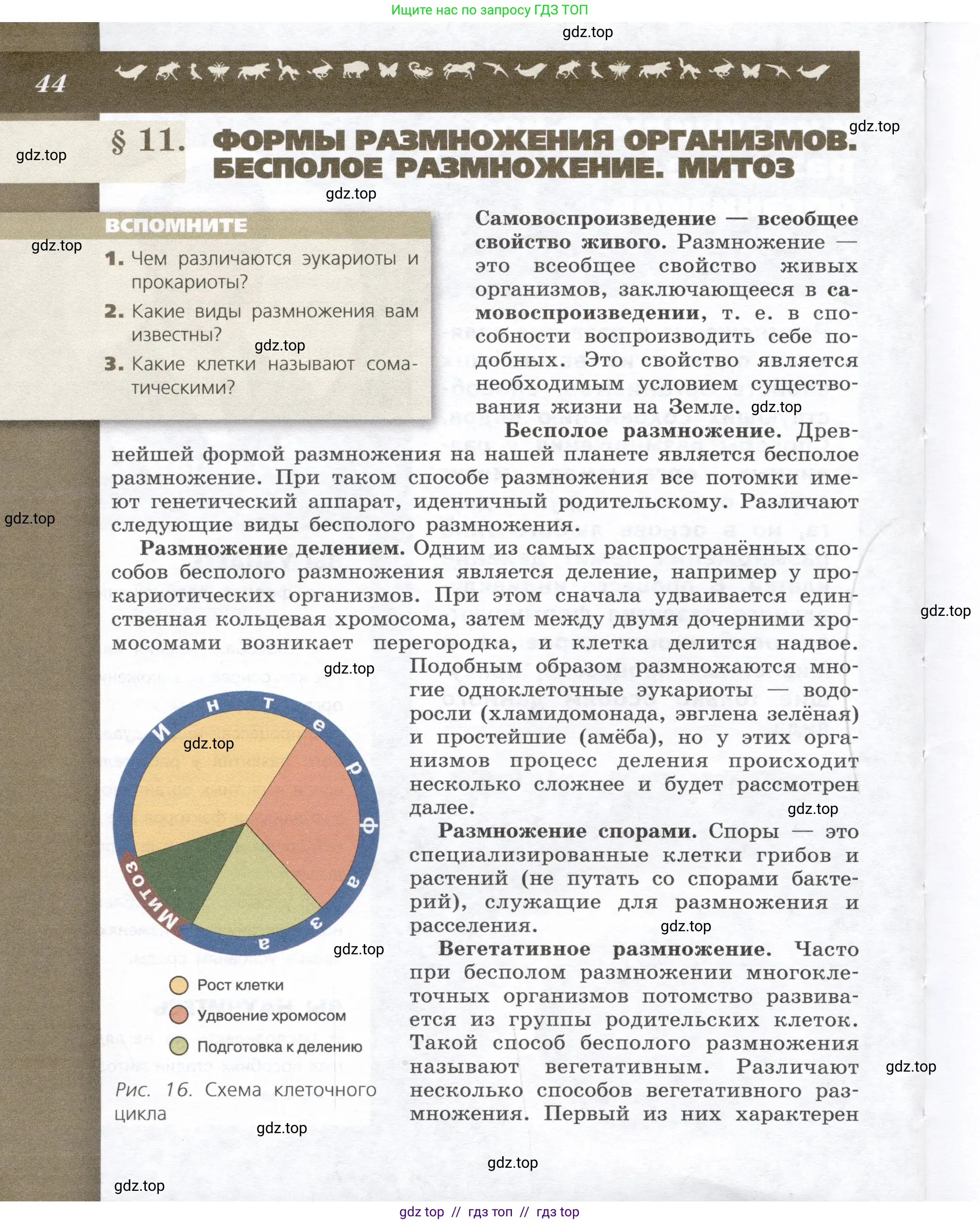 Биология, 9 класс Учебник, автор: Пасечник Владимир Васильевич, издательство Просвещение, Москва, 2019, страница 44