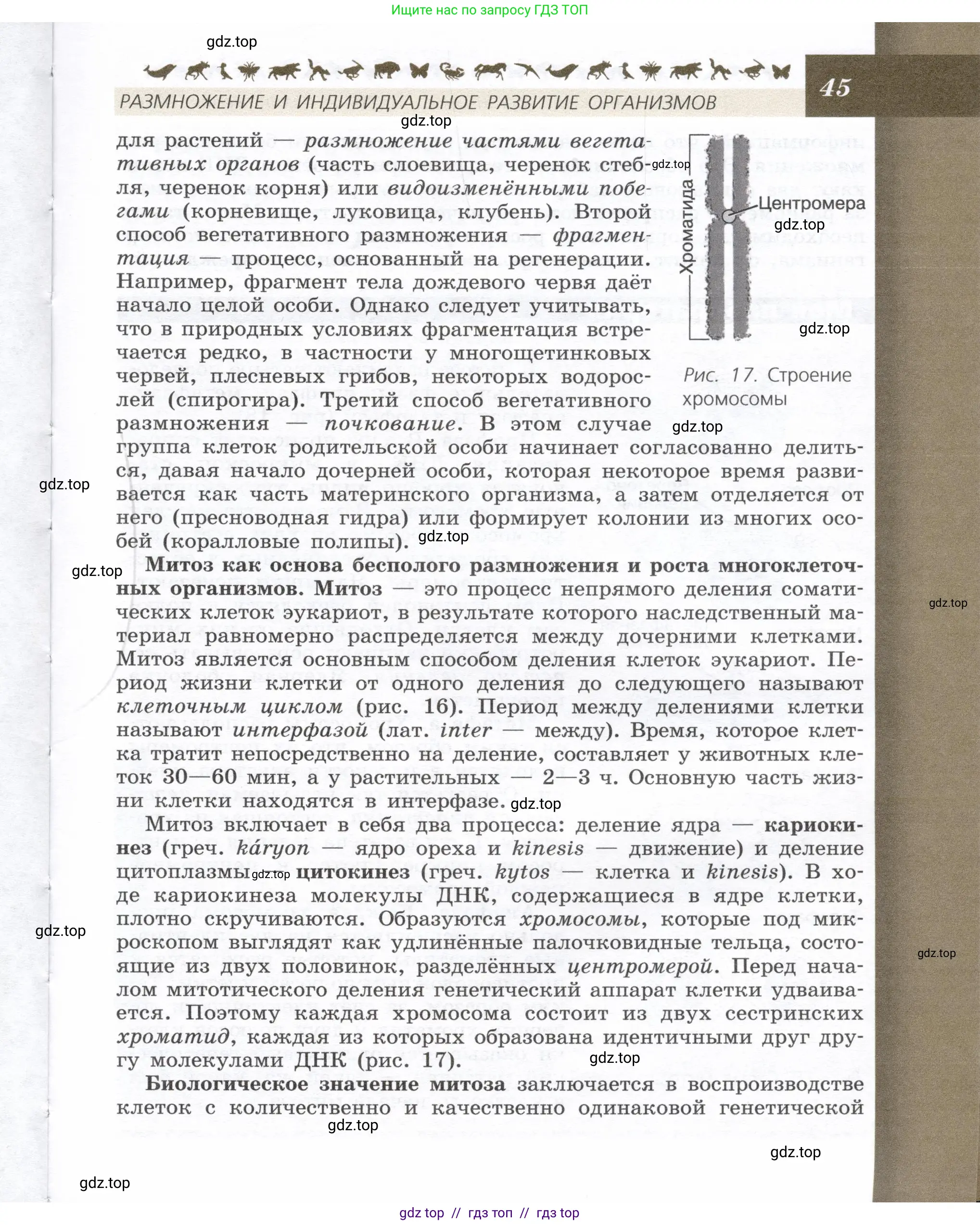 Биология, 9 класс Учебник, автор: Пасечник Владимир Васильевич, издательство Просвещение, Москва, 2019, страница 45
