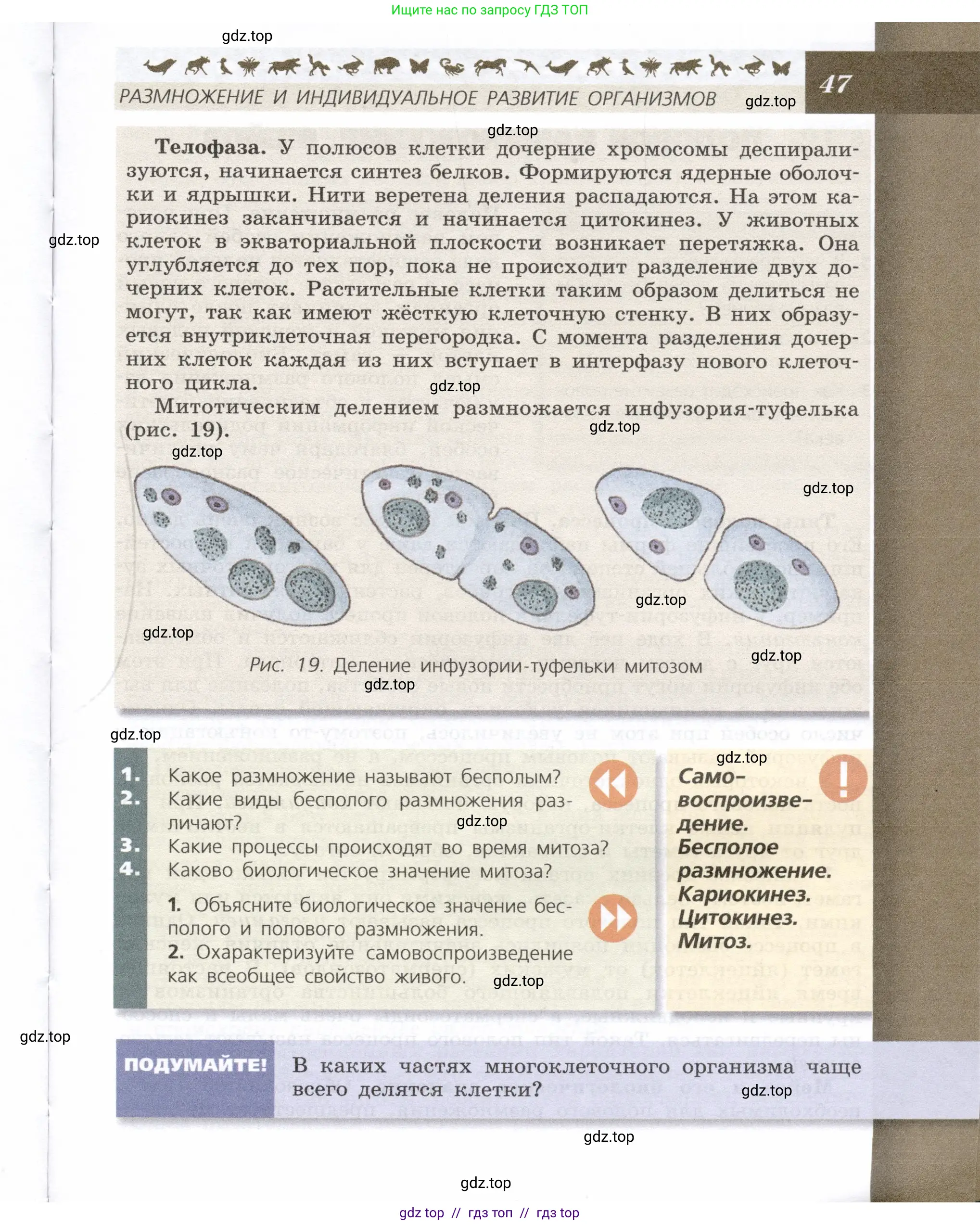 Биология, 9 класс Учебник, автор: Пасечник Владимир Васильевич, издательство Просвещение, Москва, 2019, страница 47