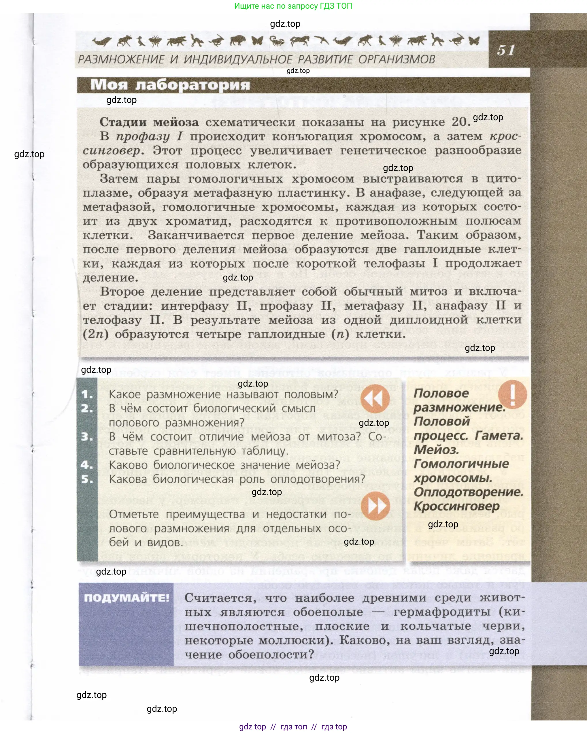 Биология, 9 класс Учебник, автор: Пасечник Владимир Васильевич, издательство Просвещение, Москва, 2019, страница 51