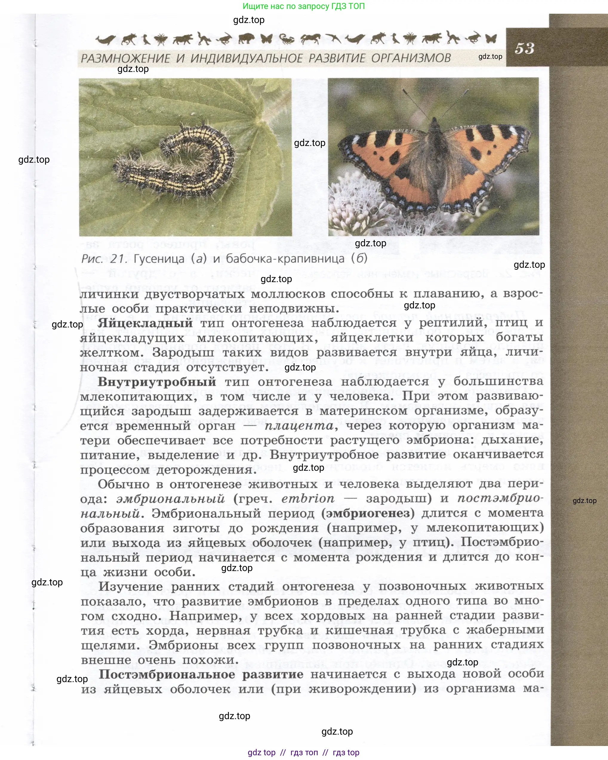 Биология, 9 класс Учебник, автор: Пасечник Владимир Васильевич, издательство Просвещение, Москва, 2019, страница 53