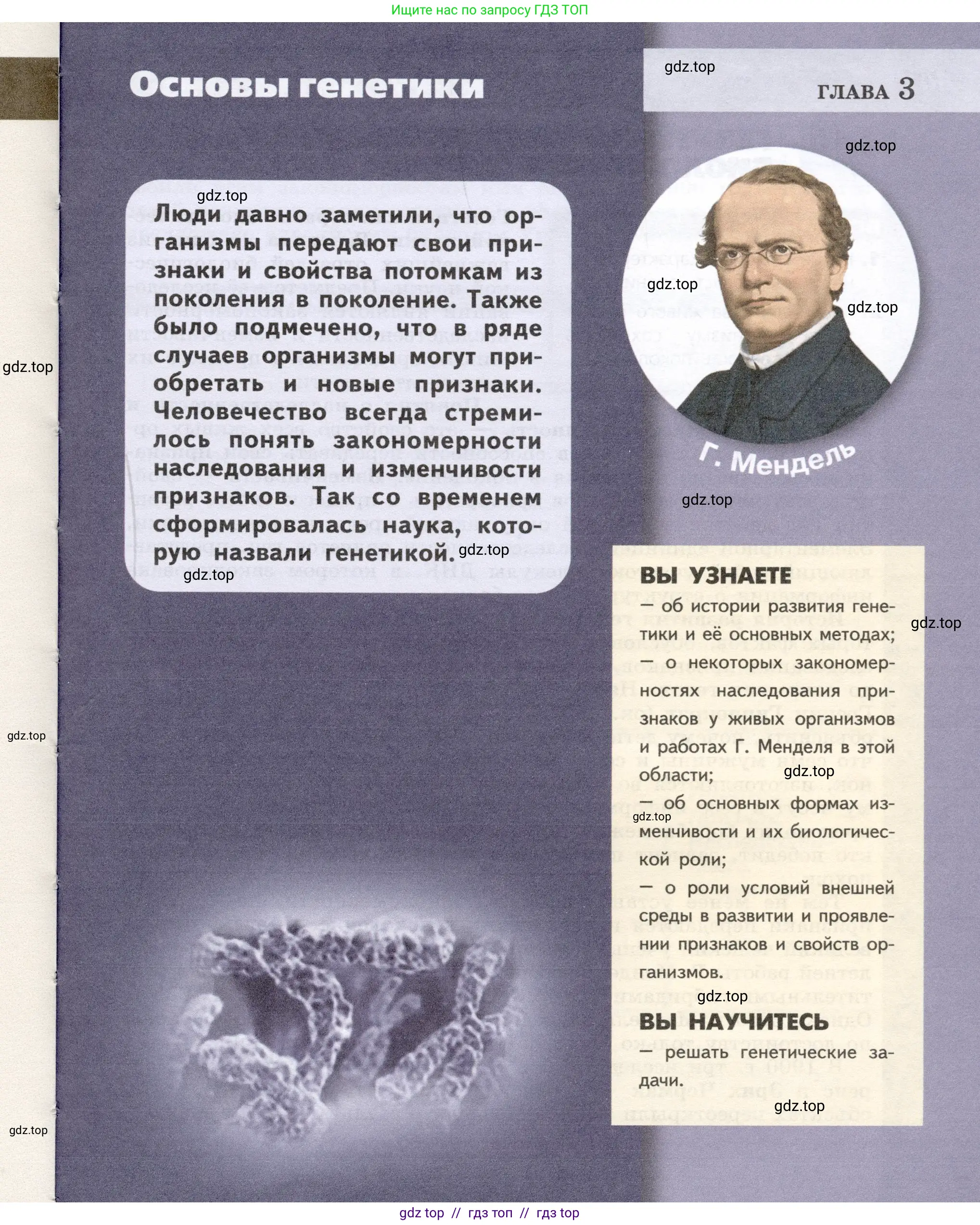 Биология, 9 класс Учебник, автор: Пасечник Владимир Васильевич, издательство Просвещение, Москва, 2019, страница 59