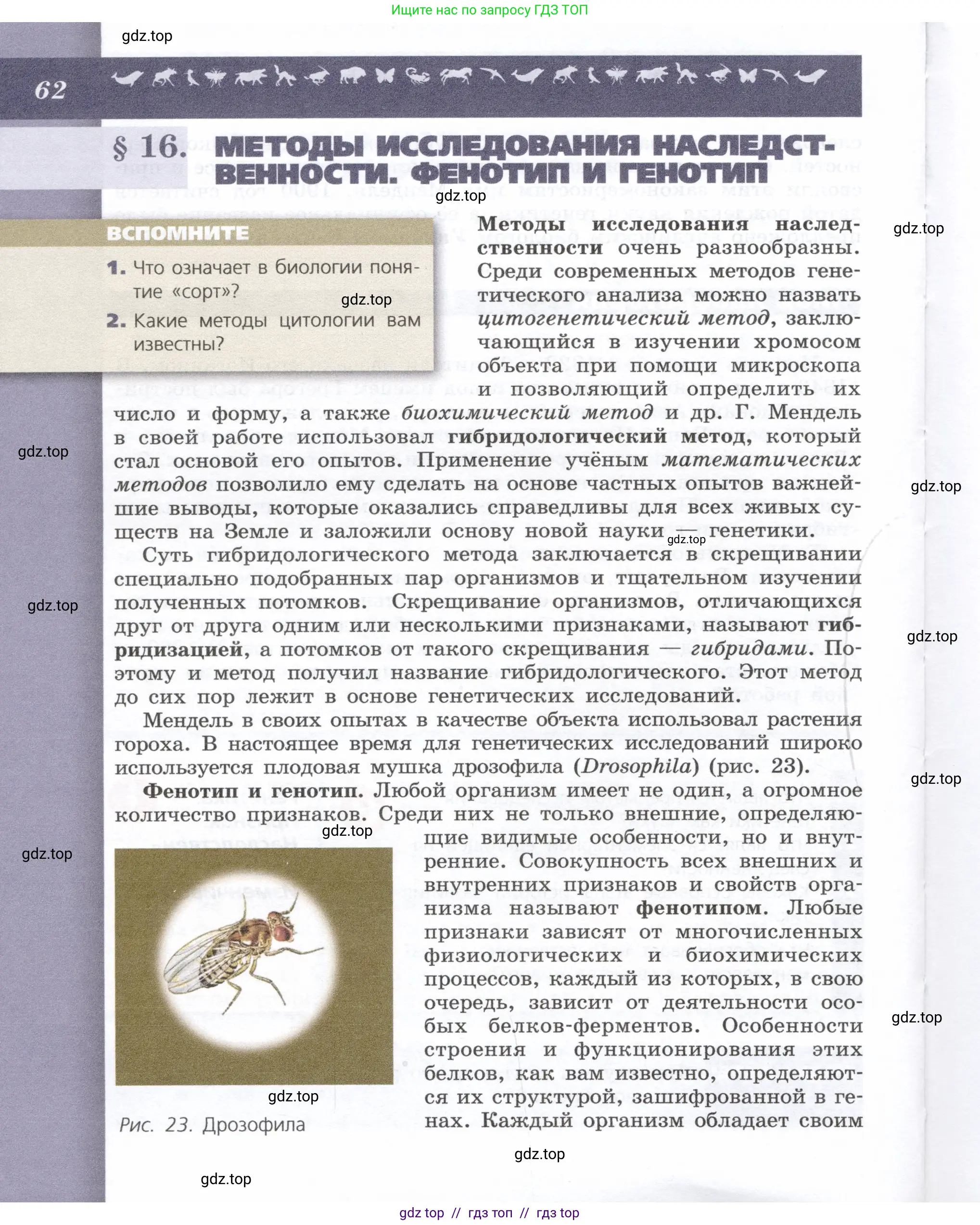 Биология, 9 класс Учебник, автор: Пасечник Владимир Васильевич, издательство Просвещение, Москва, 2019, страница 62