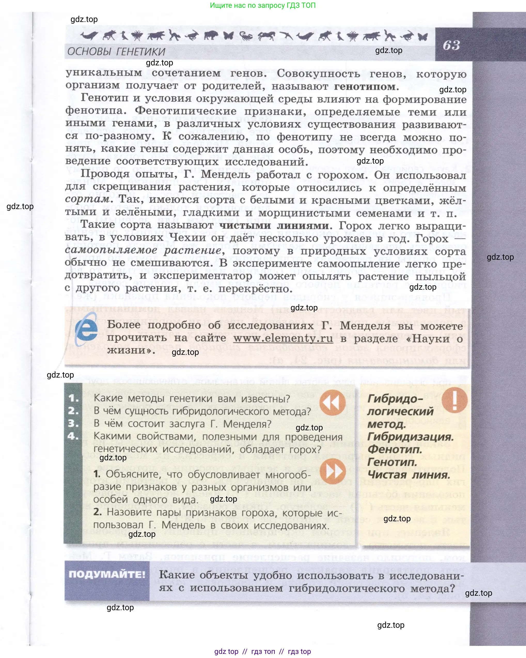 Биология, 9 класс Учебник, автор: Пасечник Владимир Васильевич, издательство Просвещение, Москва, 2019, страница 63
