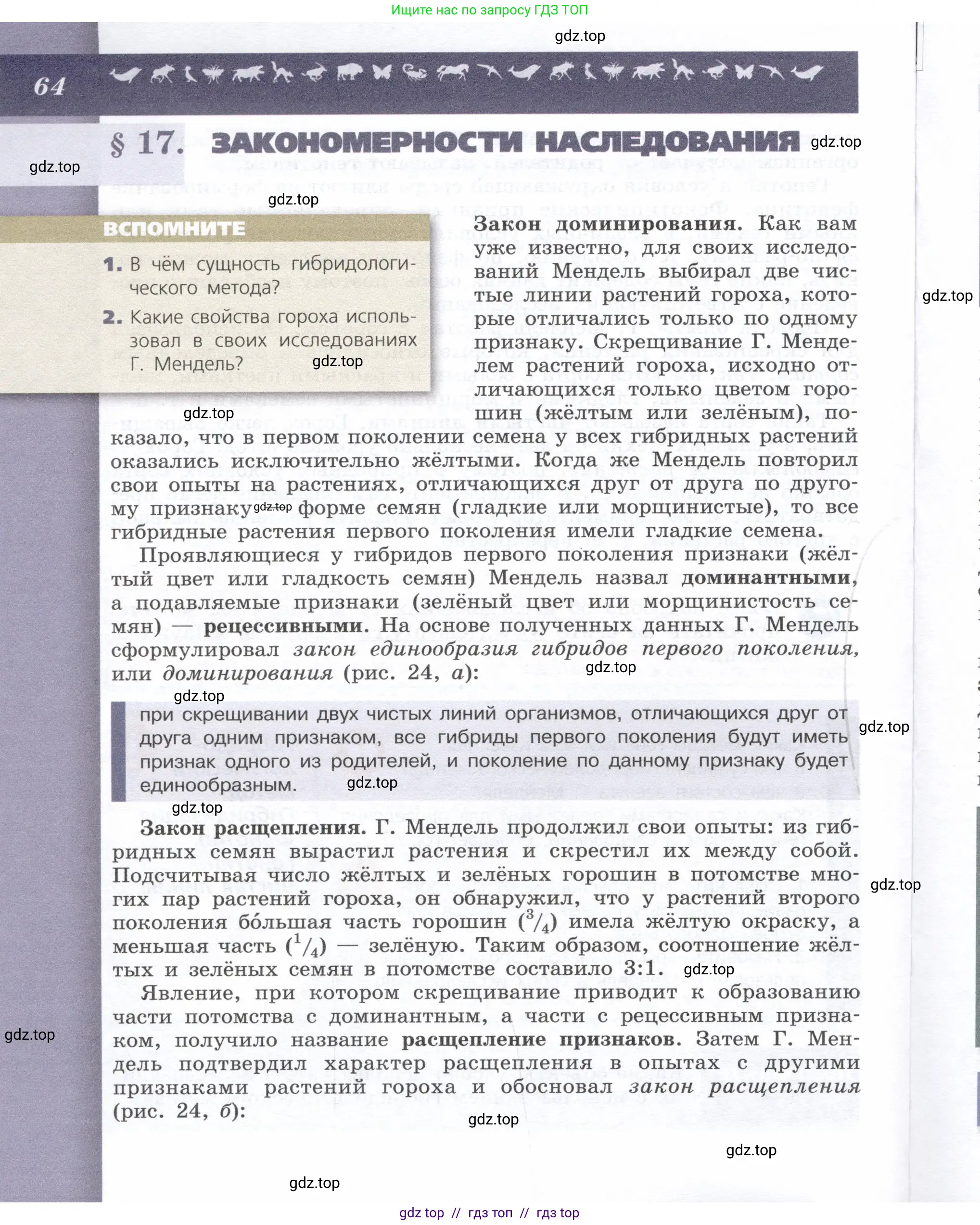 Биология, 9 класс Учебник, автор: Пасечник Владимир Васильевич, издательство Просвещение, Москва, 2019, страница 64