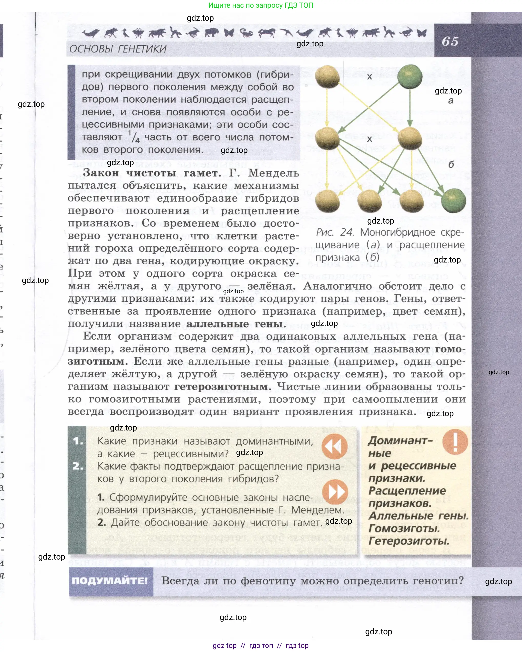 Биология, 9 класс Учебник, автор: Пасечник Владимир Васильевич, издательство Просвещение, Москва, 2019, страница 65