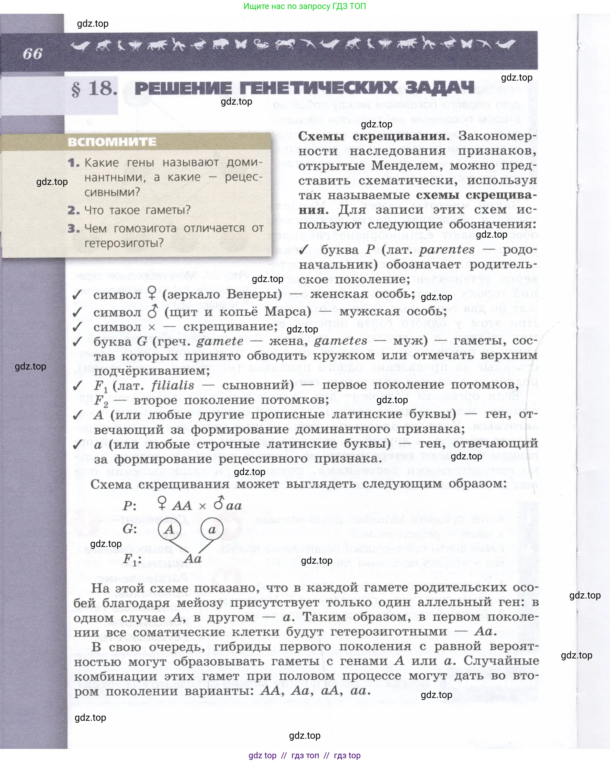 Биология, 9 класс Учебник, автор: Пасечник Владимир Васильевич, издательство Просвещение, Москва, 2019, страница 66