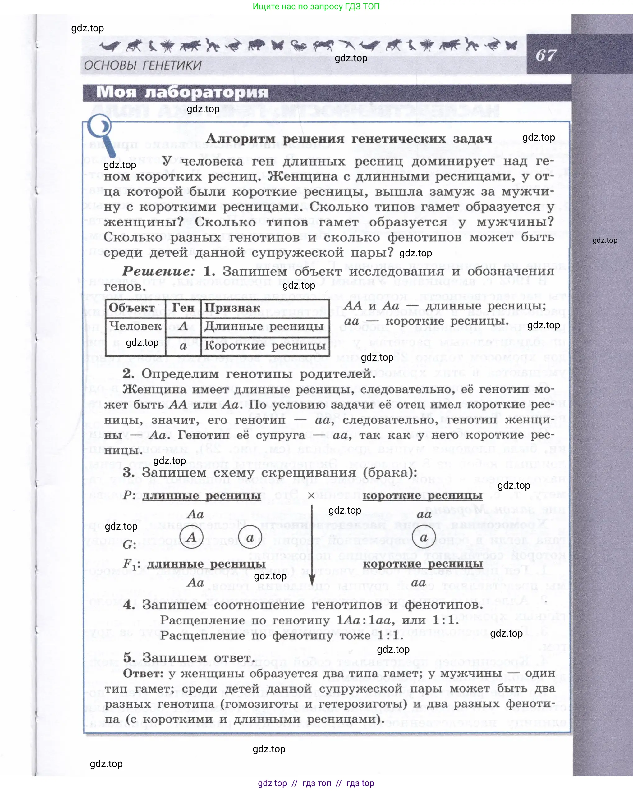 Биология, 9 класс Учебник, автор: Пасечник Владимир Васильевич, издательство Просвещение, Москва, 2019, страница 67