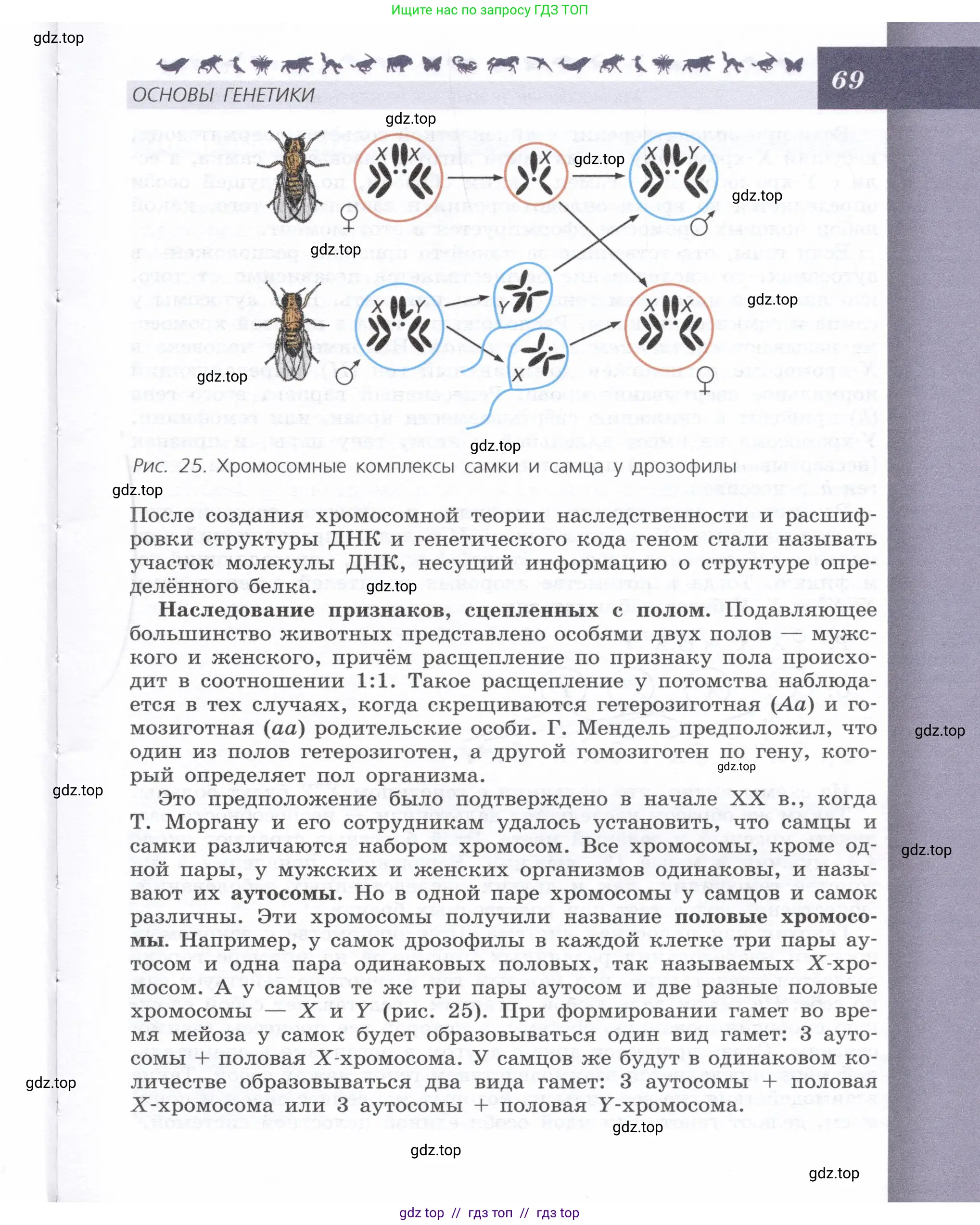 Биология, 9 класс Учебник, автор: Пасечник Владимир Васильевич, издательство Просвещение, Москва, 2019, страница 69