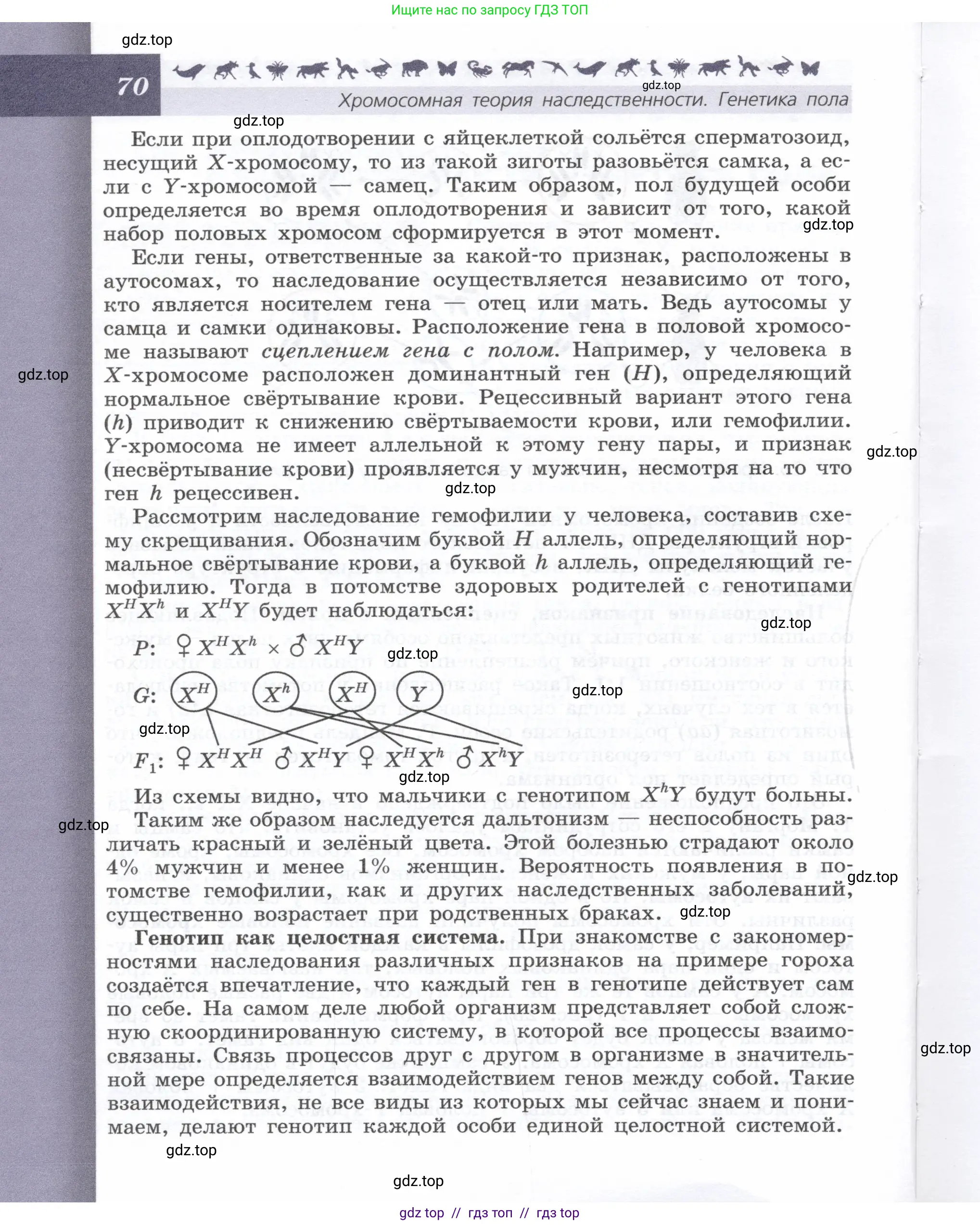 Биология, 9 класс Учебник, автор: Пасечник Владимир Васильевич, издательство Просвещение, Москва, 2019, страница 70