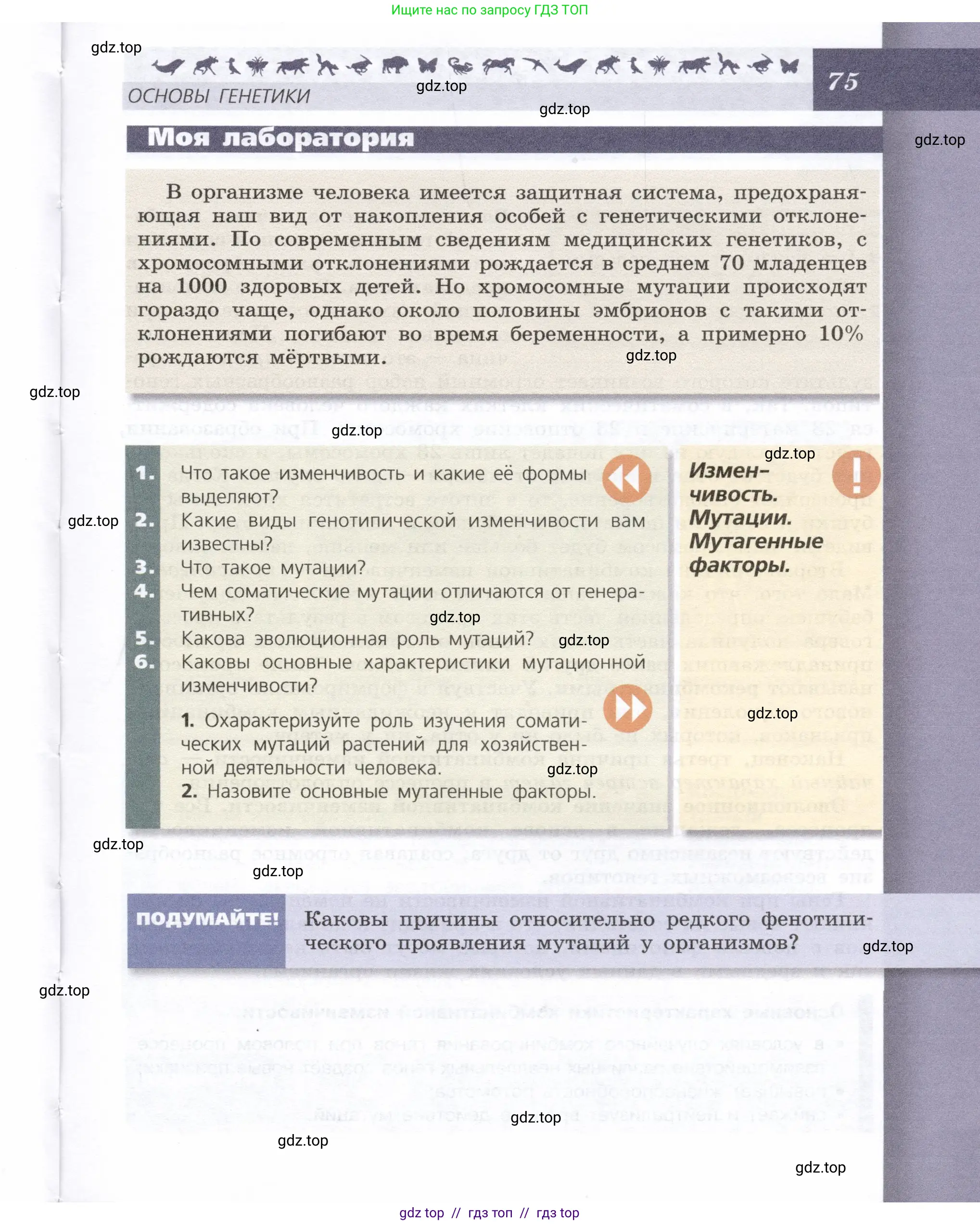Биология, 9 класс Учебник, автор: Пасечник Владимир Васильевич, издательство Просвещение, Москва, 2019, страница 75
