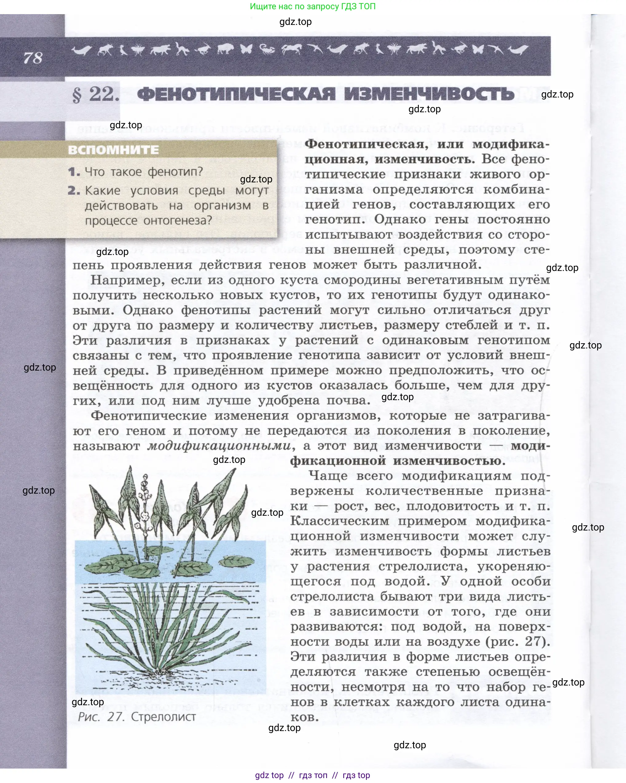 Биология, 9 класс Учебник, автор: Пасечник Владимир Васильевич, издательство Просвещение, Москва, 2019, страница 78