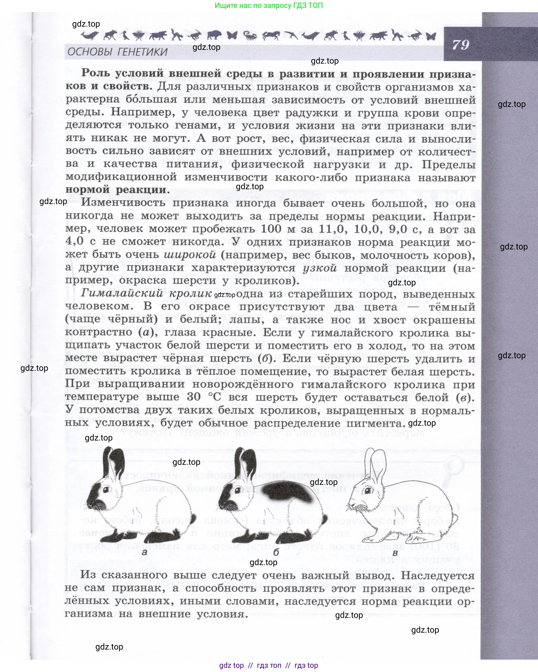 Биология, 9 класс Учебник, автор: Пасечник Владимир Васильевич, издательство Просвещение, Москва, 2019, страница 79