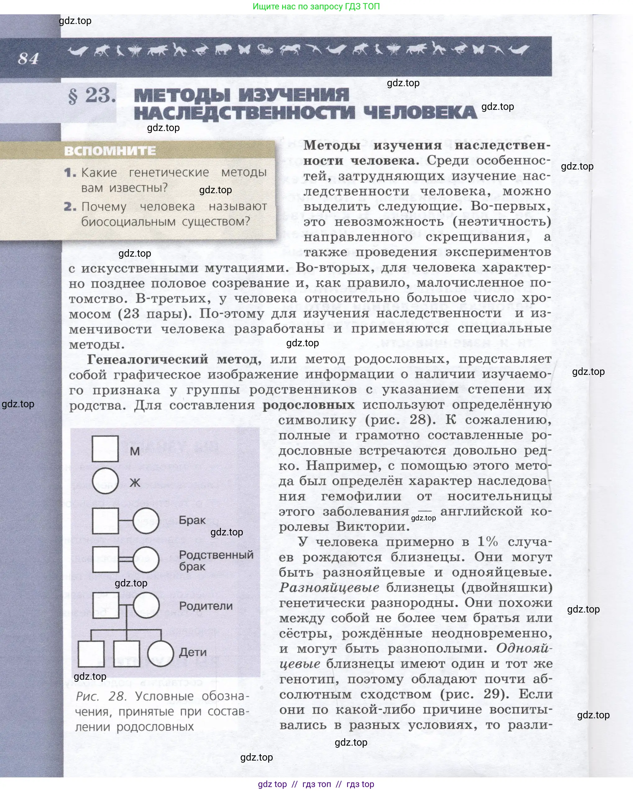 Биология, 9 класс Учебник, автор: Пасечник Владимир Васильевич, издательство Просвещение, Москва, 2019, страница 84