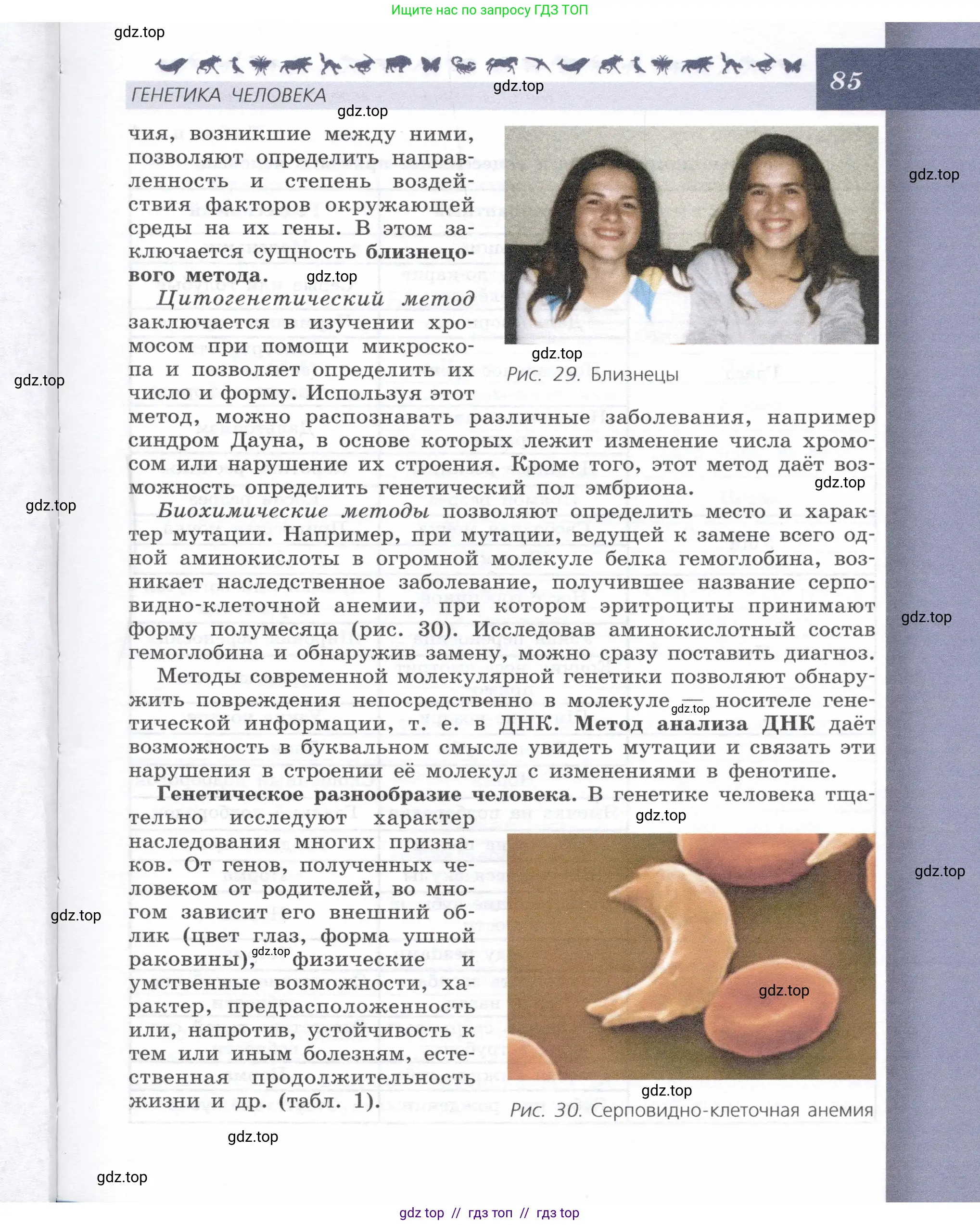 Биология, 9 класс Учебник, автор: Пасечник Владимир Васильевич, издательство Просвещение, Москва, 2019, страница 85