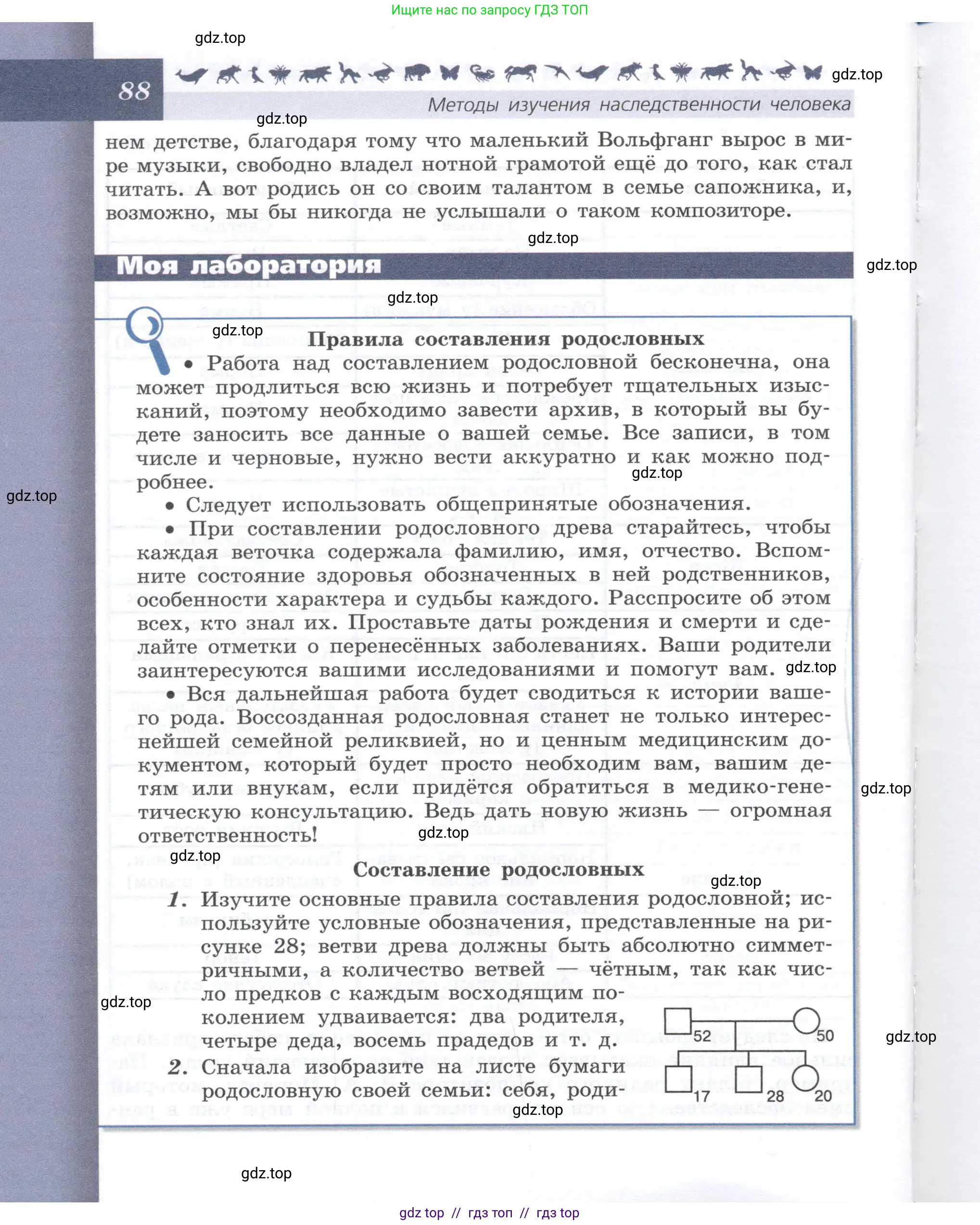 Биология, 9 класс Учебник, автор: Пасечник Владимир Васильевич, издательство Просвещение, Москва, 2019, страница 88