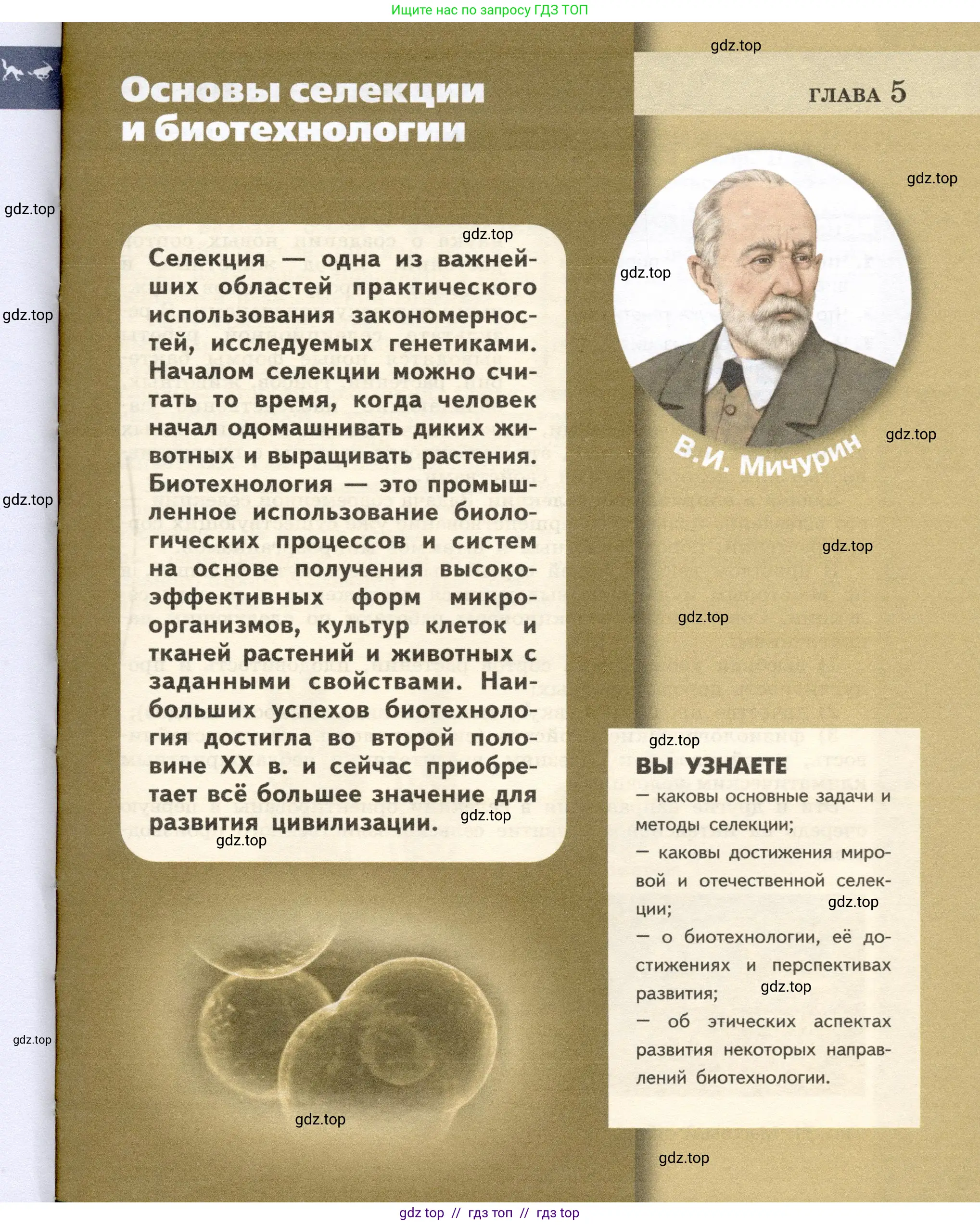 Биология, 9 класс Учебник, автор: Пасечник Владимир Васильевич, издательство Просвещение, Москва, 2019, страница 93