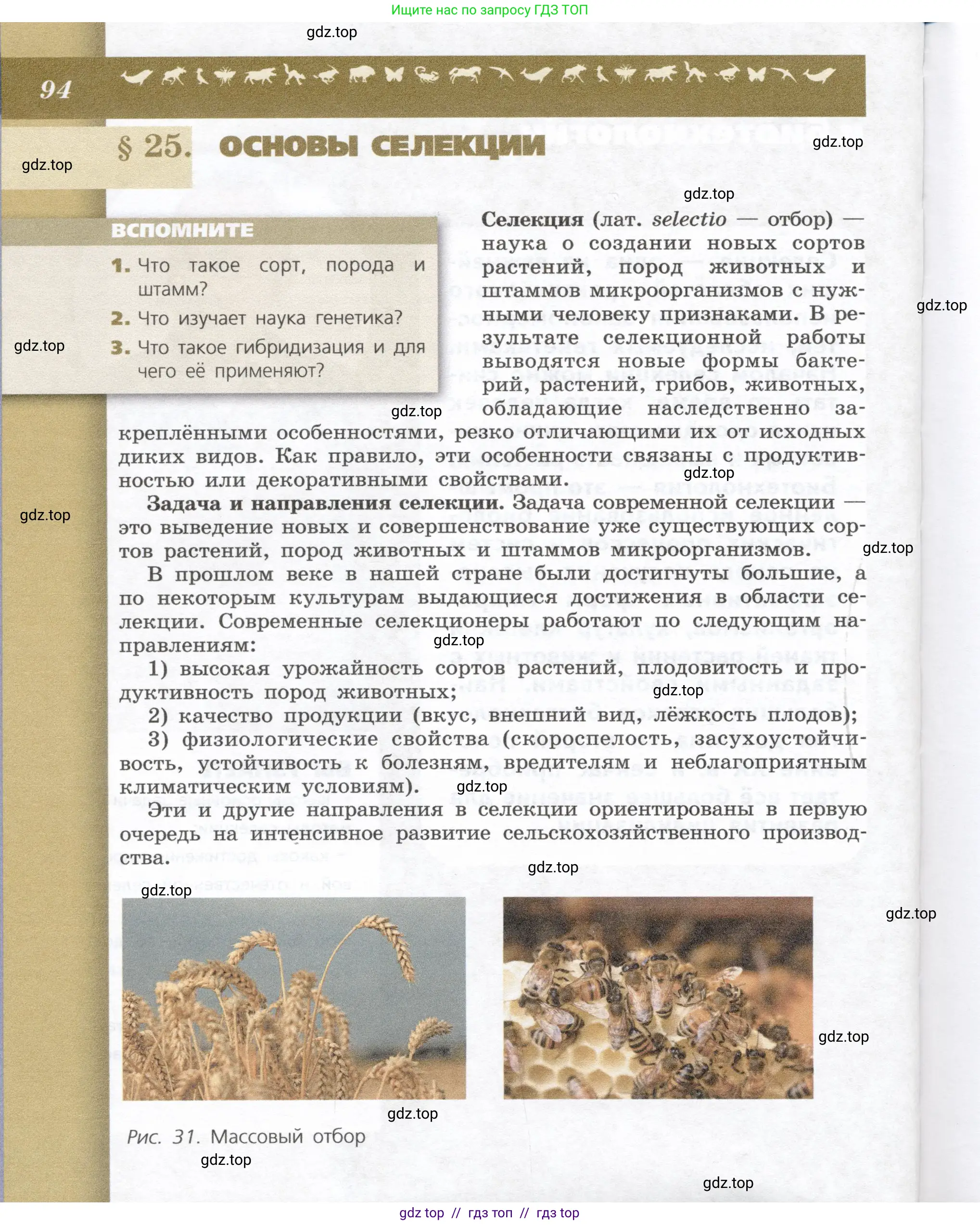 Биология, 9 класс Учебник, автор: Пасечник Владимир Васильевич, издательство Просвещение, Москва, 2019, страница 94
