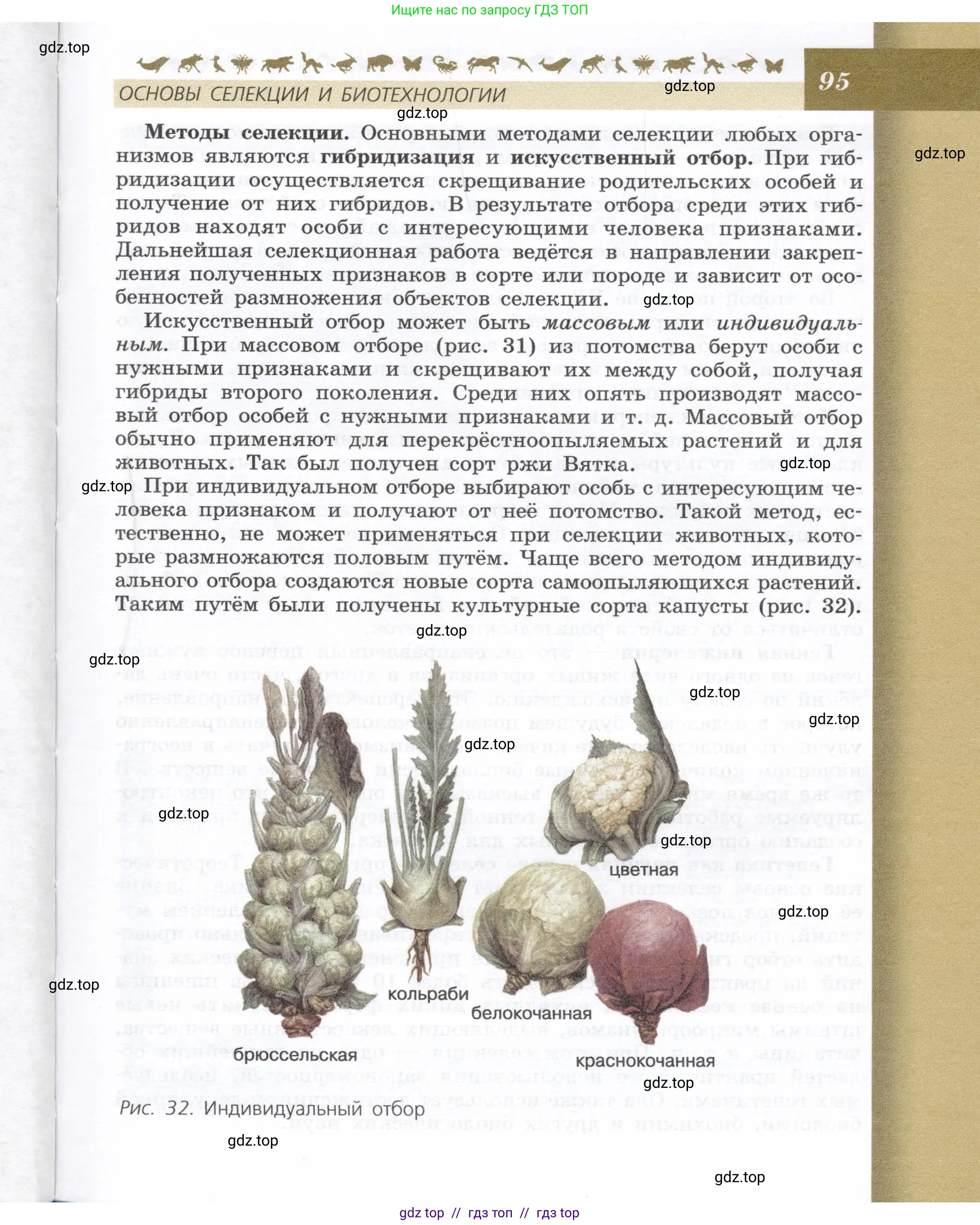 Биология, 9 класс Учебник, автор: Пасечник Владимир Васильевич, издательство Просвещение, Москва, 2019, страница 95