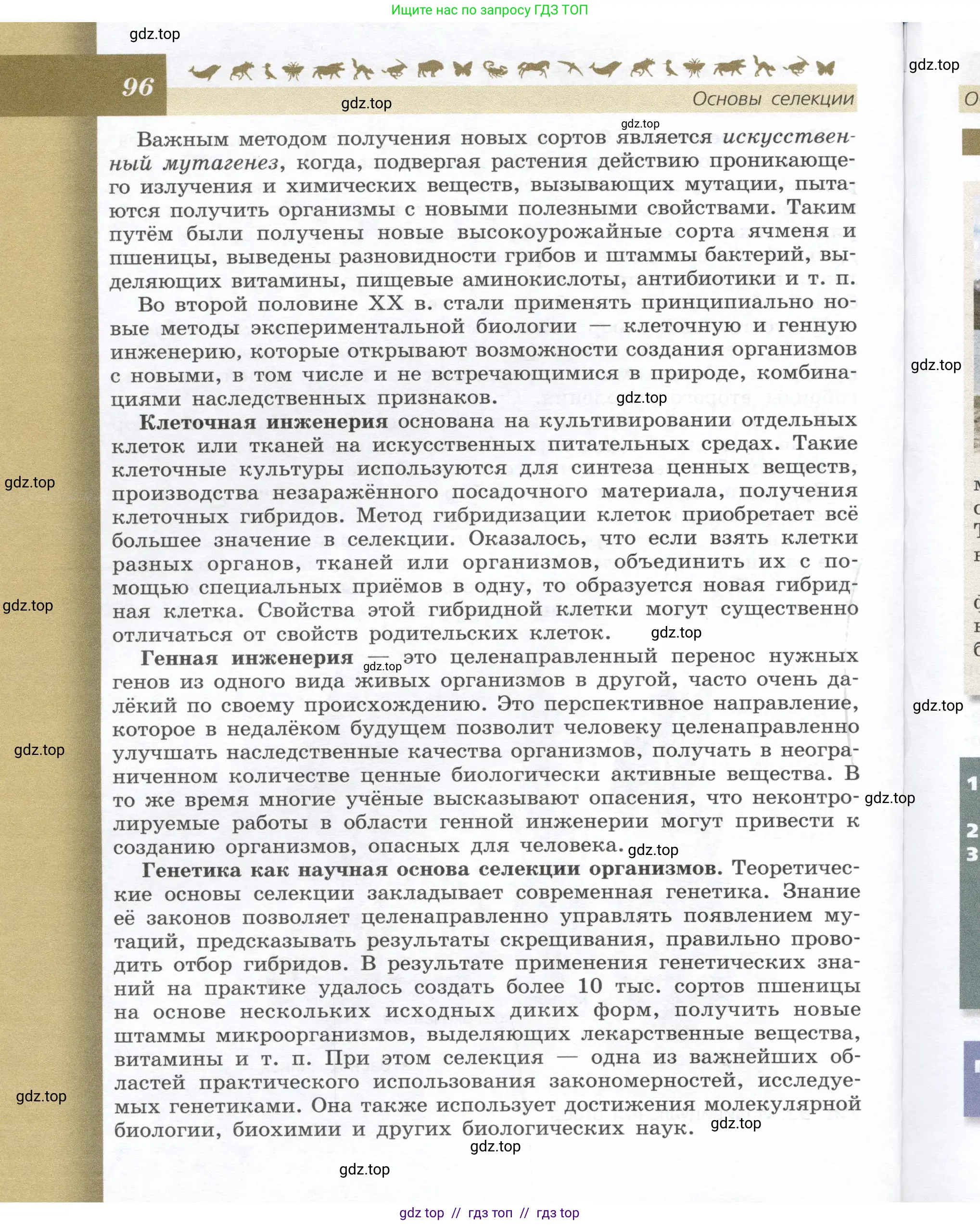 Биология, 9 класс Учебник, автор: Пасечник Владимир Васильевич, издательство Просвещение, Москва, 2019, страница 96