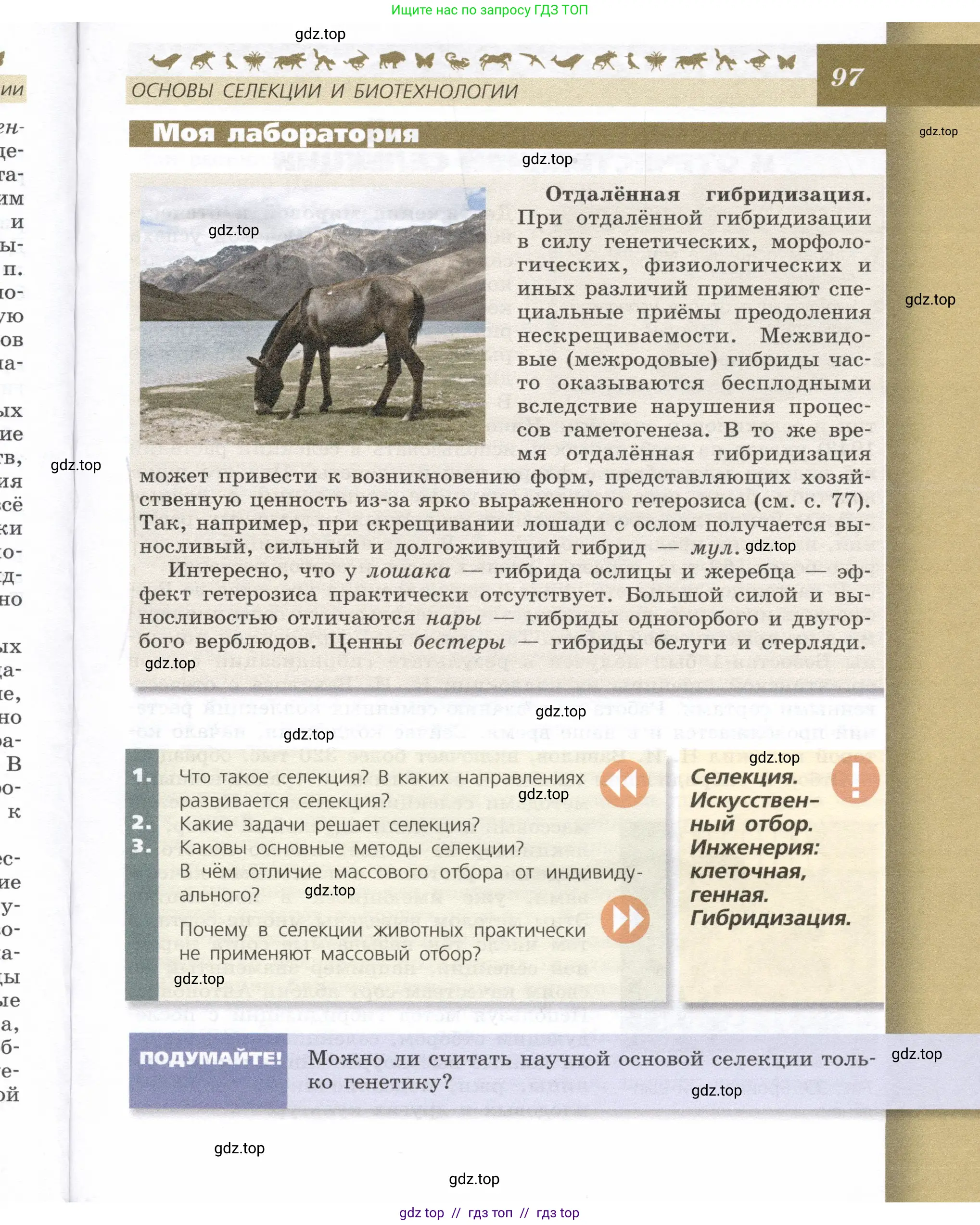 Биология, 9 класс Учебник, автор: Пасечник Владимир Васильевич, издательство Просвещение, Москва, 2019, страница 97