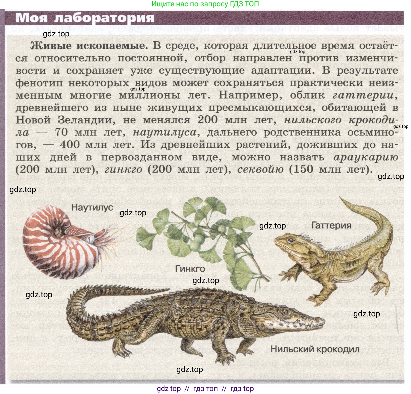 Биология, 9 класс Учебник, автор: Пасечник Владимир Васильевич, издательство Просвещение, Москва, 2019, страница 126, Условие