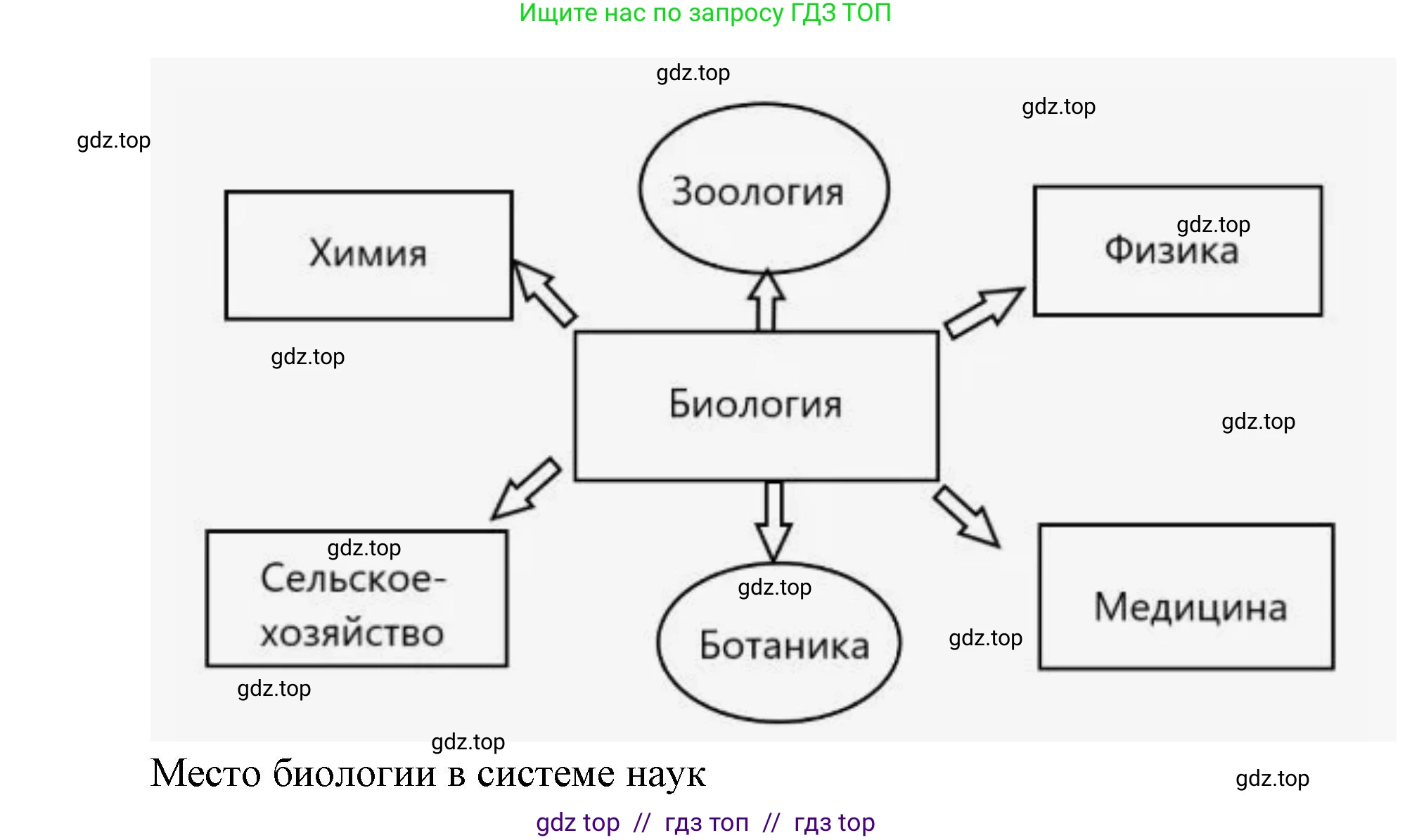 Биология, 9 класс Учебник, автор: Пасечник Владимир Васильевич, издательство Просвещение, Москва, 2019, страница 11, номер 2, Решение (продолжение 2)