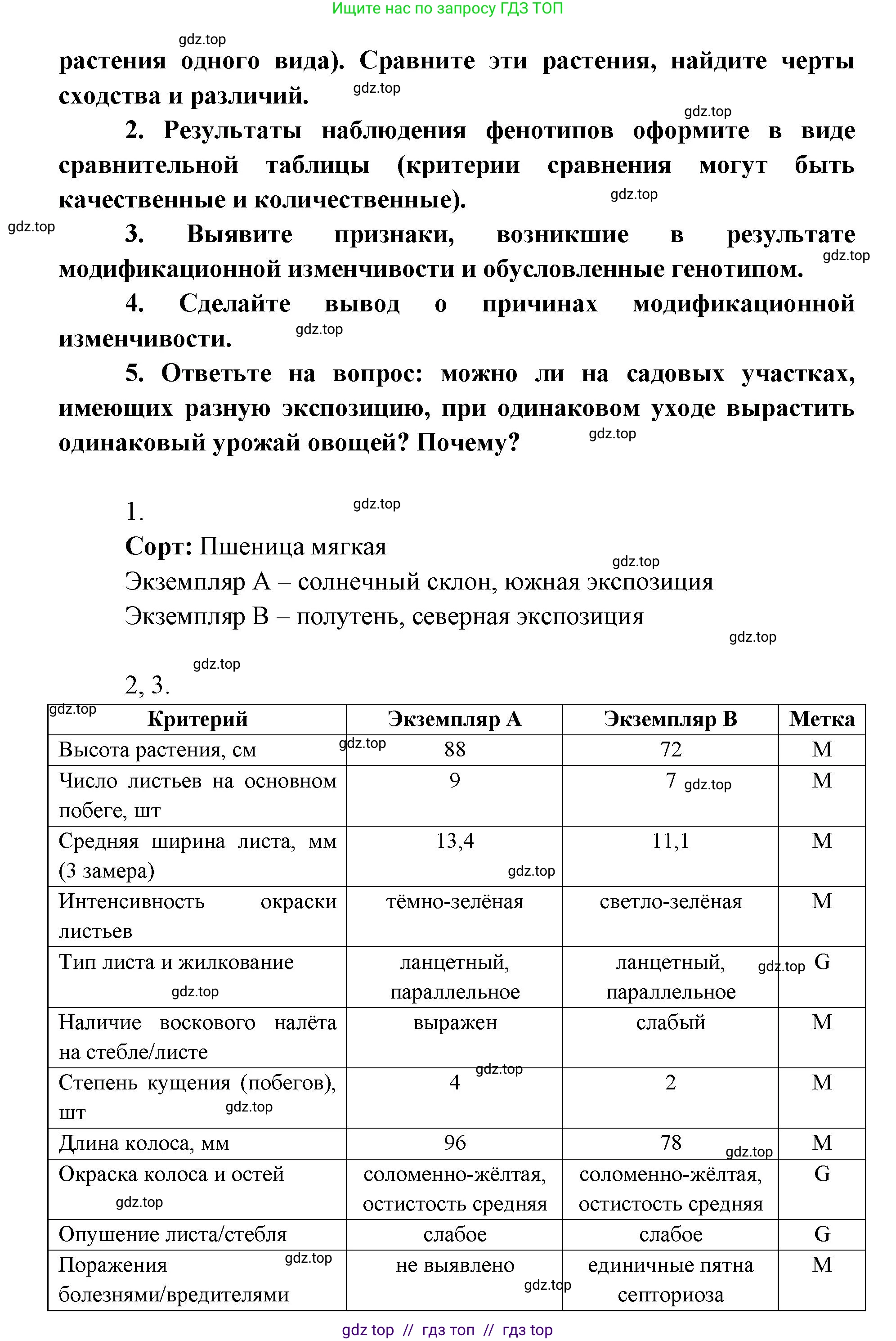 Биология, 9 класс Учебник, автор: Пасечник Владимир Васильевич, издательство Просвещение, Москва, 2019, страница 80, Решение (продолжение 2)