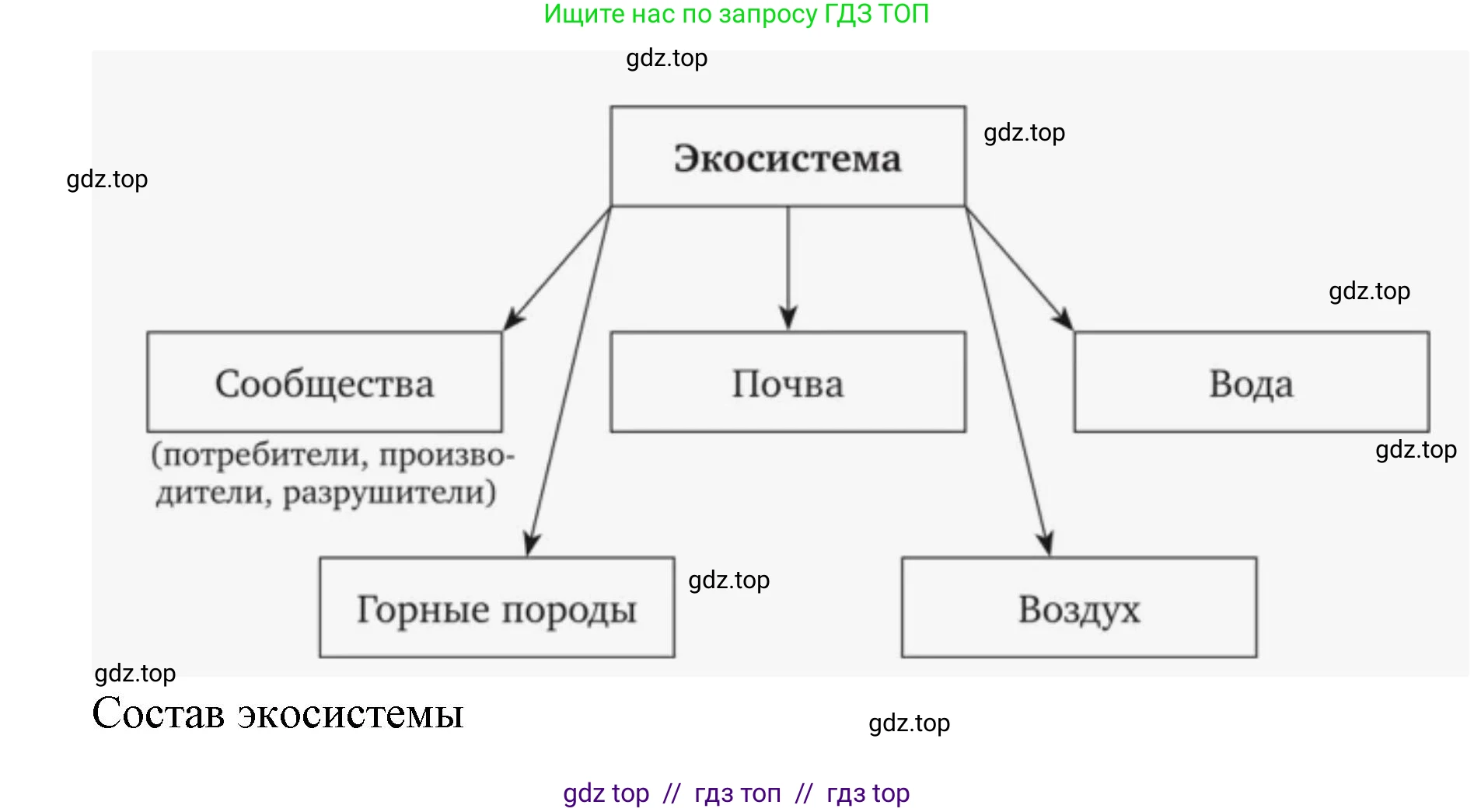 Биология, 9 класс Учебник, автор: Пасечник Владимир Васильевич, издательство Просвещение, Москва, 2019, страница 165, номер 2, Решение (продолжение 2)