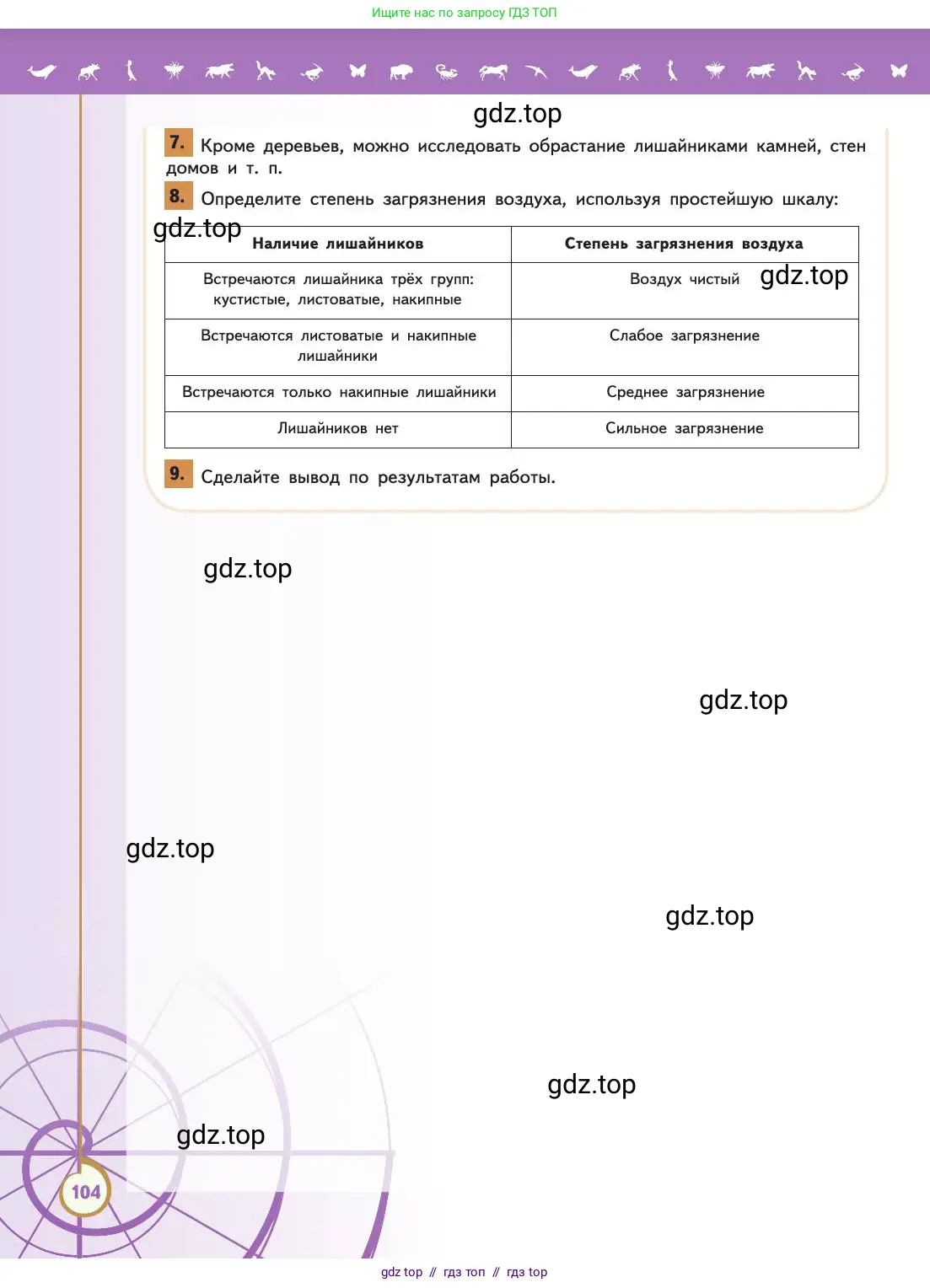Биология, 11 класс Учебник, авторы: Пасечник Владимир Васильевич, Каменский Андрей Александрович, Рубцов Александр Михайлович, Швецов Глеб Геннадьевич, Абовян Леван Арташесович, Гапонюк Зоя Георгиевна, издательство Просвещение, Москва, 2019, страница 104