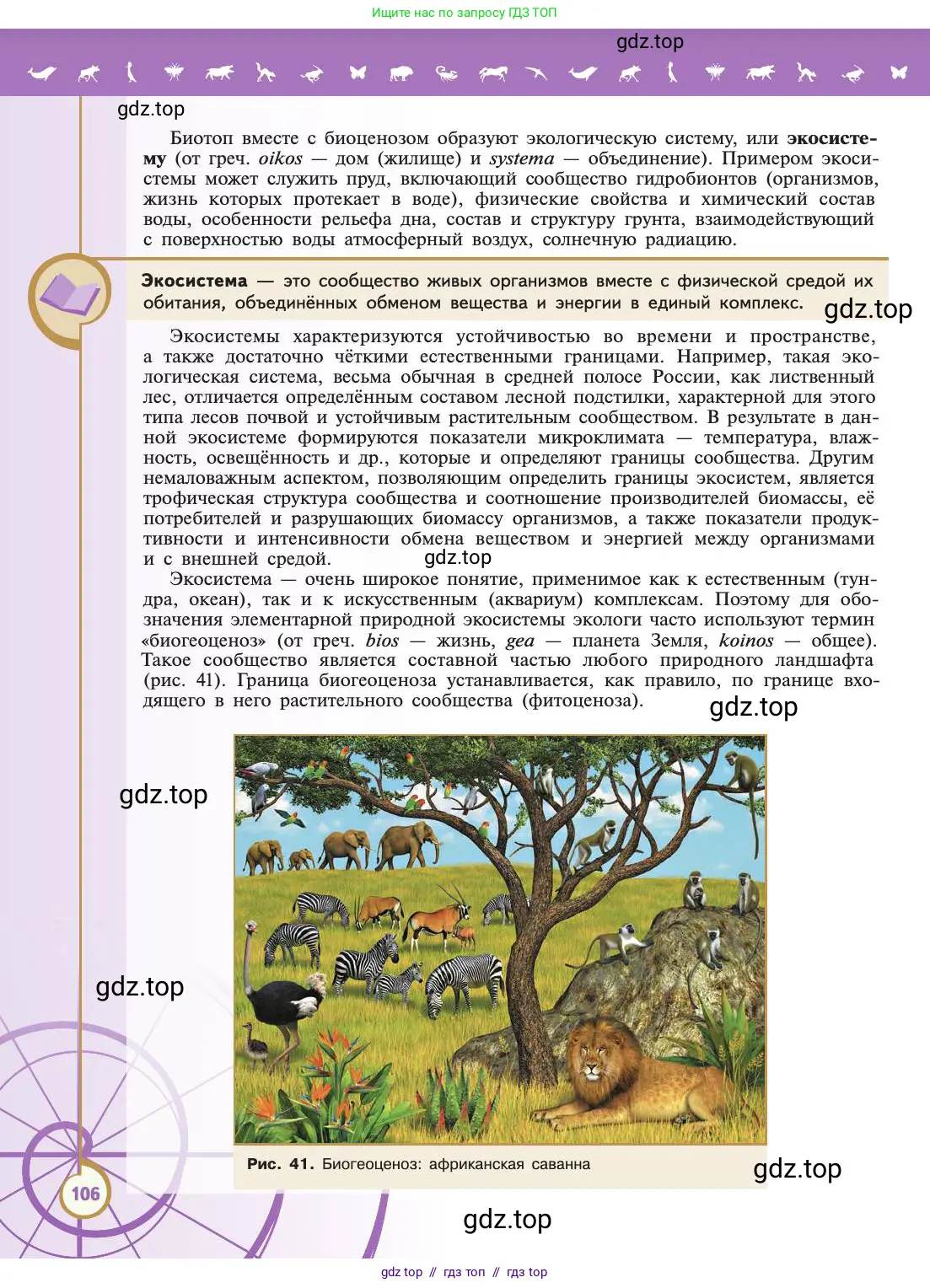 Биология, 11 класс Учебник, авторы: Пасечник Владимир Васильевич, Каменский Андрей Александрович, Рубцов Александр Михайлович, Швецов Глеб Геннадьевич, Абовян Леван Арташесович, Гапонюк Зоя Георгиевна, издательство Просвещение, Москва, 2019, страница 106