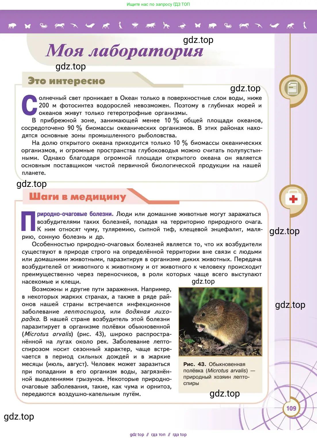 Биология, 11 класс Учебник, авторы: Пасечник Владимир Васильевич, Каменский Андрей Александрович, Рубцов Александр Михайлович, Швецов Глеб Геннадьевич, Абовян Леван Арташесович, Гапонюк Зоя Георгиевна, издательство Просвещение, Москва, 2019, страница 109