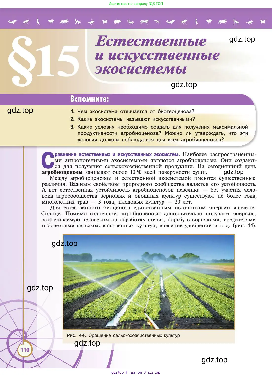 Биология, 11 класс Учебник, авторы: Пасечник Владимир Васильевич, Каменский Андрей Александрович, Рубцов Александр Михайлович, Швецов Глеб Геннадьевич, Абовян Леван Арташесович, Гапонюк Зоя Георгиевна, издательство Просвещение, Москва, 2019, страница 110