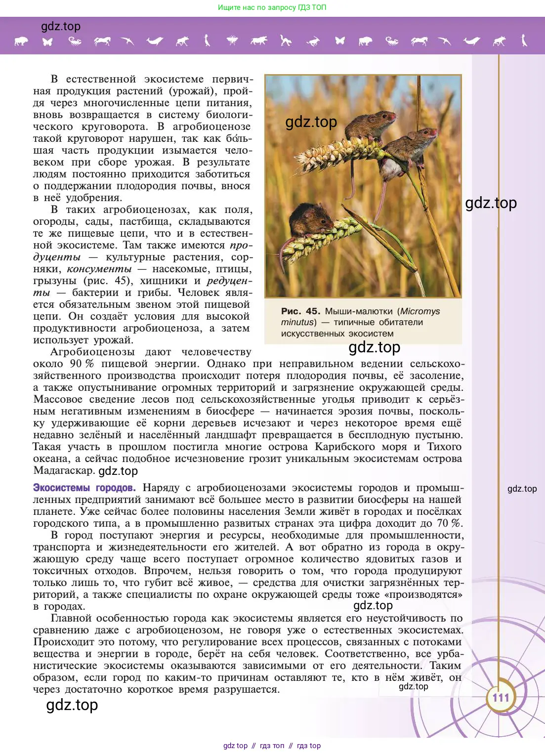 Биология, 11 класс Учебник, авторы: Пасечник Владимир Васильевич, Каменский Андрей Александрович, Рубцов Александр Михайлович, Швецов Глеб Геннадьевич, Абовян Леван Арташесович, Гапонюк Зоя Георгиевна, издательство Просвещение, Москва, 2019, страница 111
