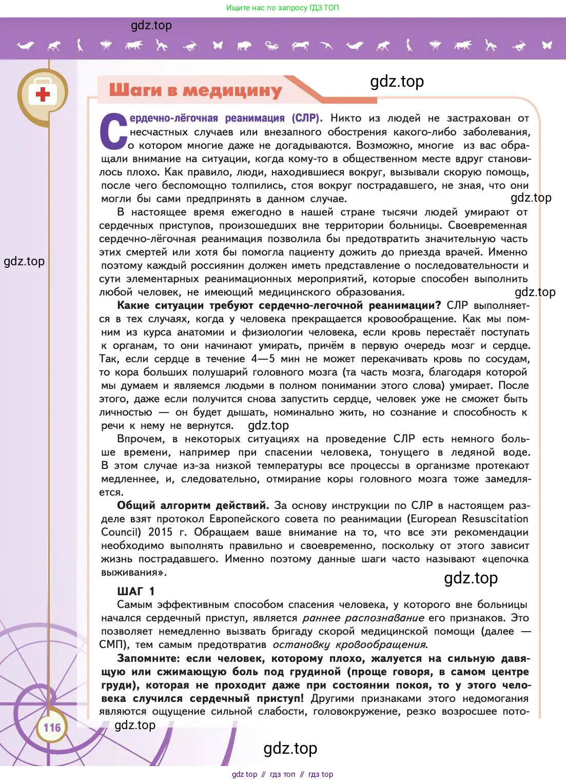 Биология, 11 класс Учебник, авторы: Пасечник Владимир Васильевич, Каменский Андрей Александрович, Рубцов Александр Михайлович, Швецов Глеб Геннадьевич, Абовян Леван Арташесович, Гапонюк Зоя Георгиевна, издательство Просвещение, Москва, 2019, страница 116